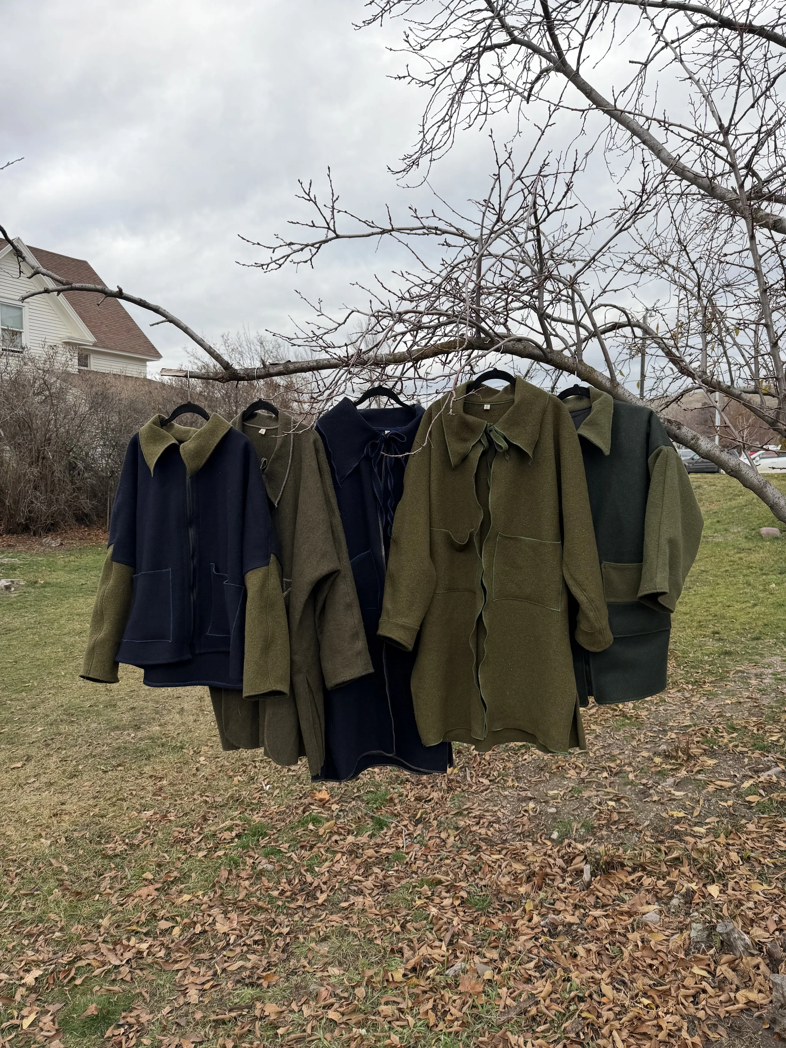 Clothing items hanging on a branch of a leafless tree, with a grassy yard and a house in the background, on a cloudy day.
