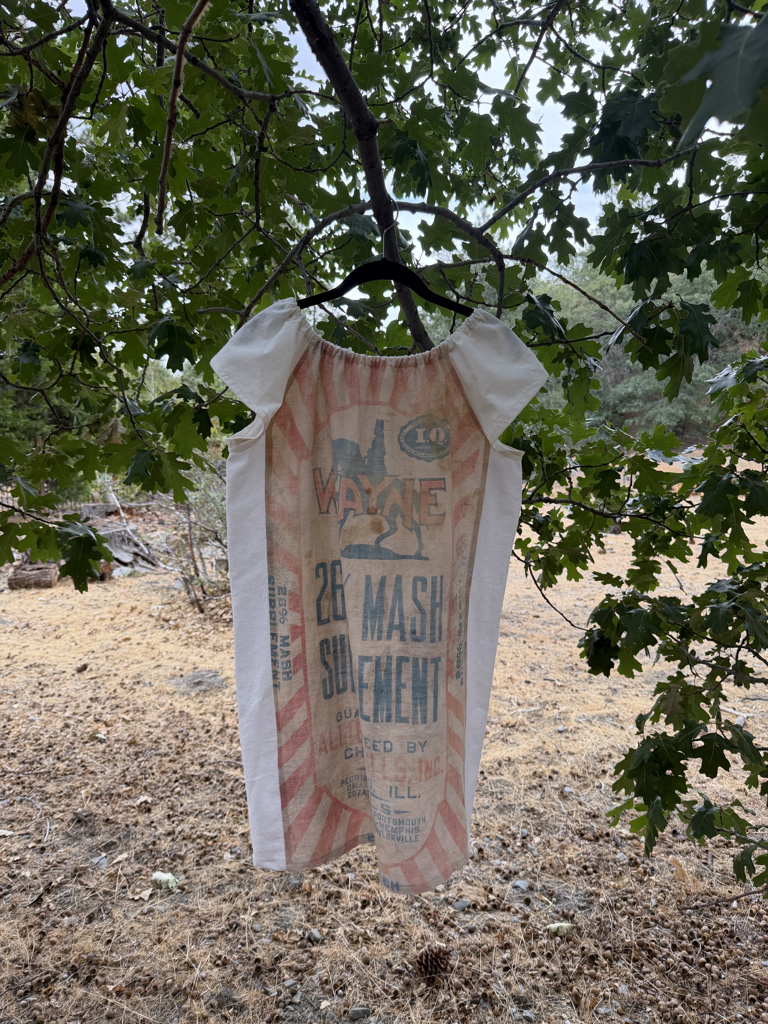 Wayne 26% Mash - Feed Sack Dress | 1940s | fits S-M-L