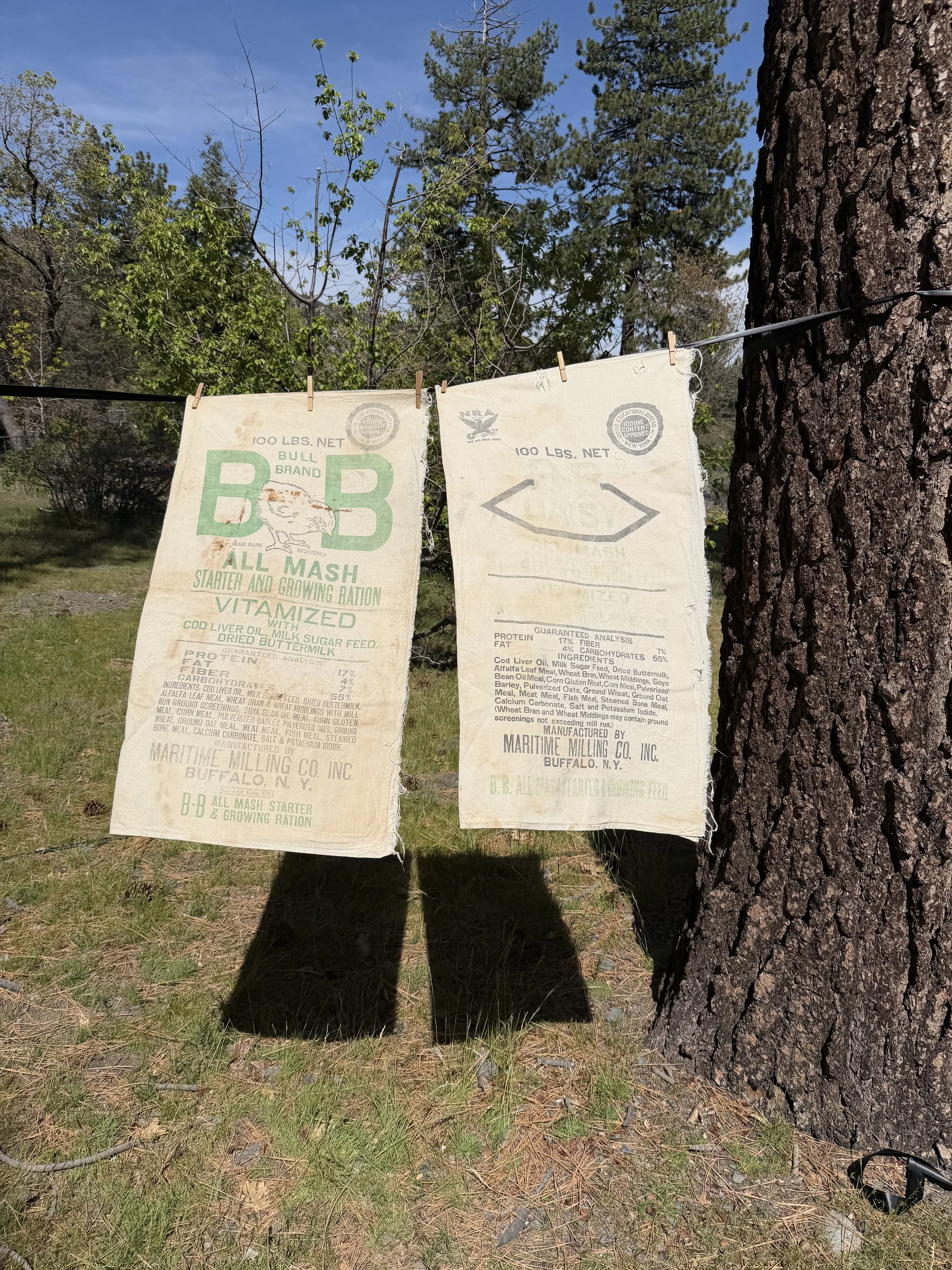 2_Green BB_0.jpeg