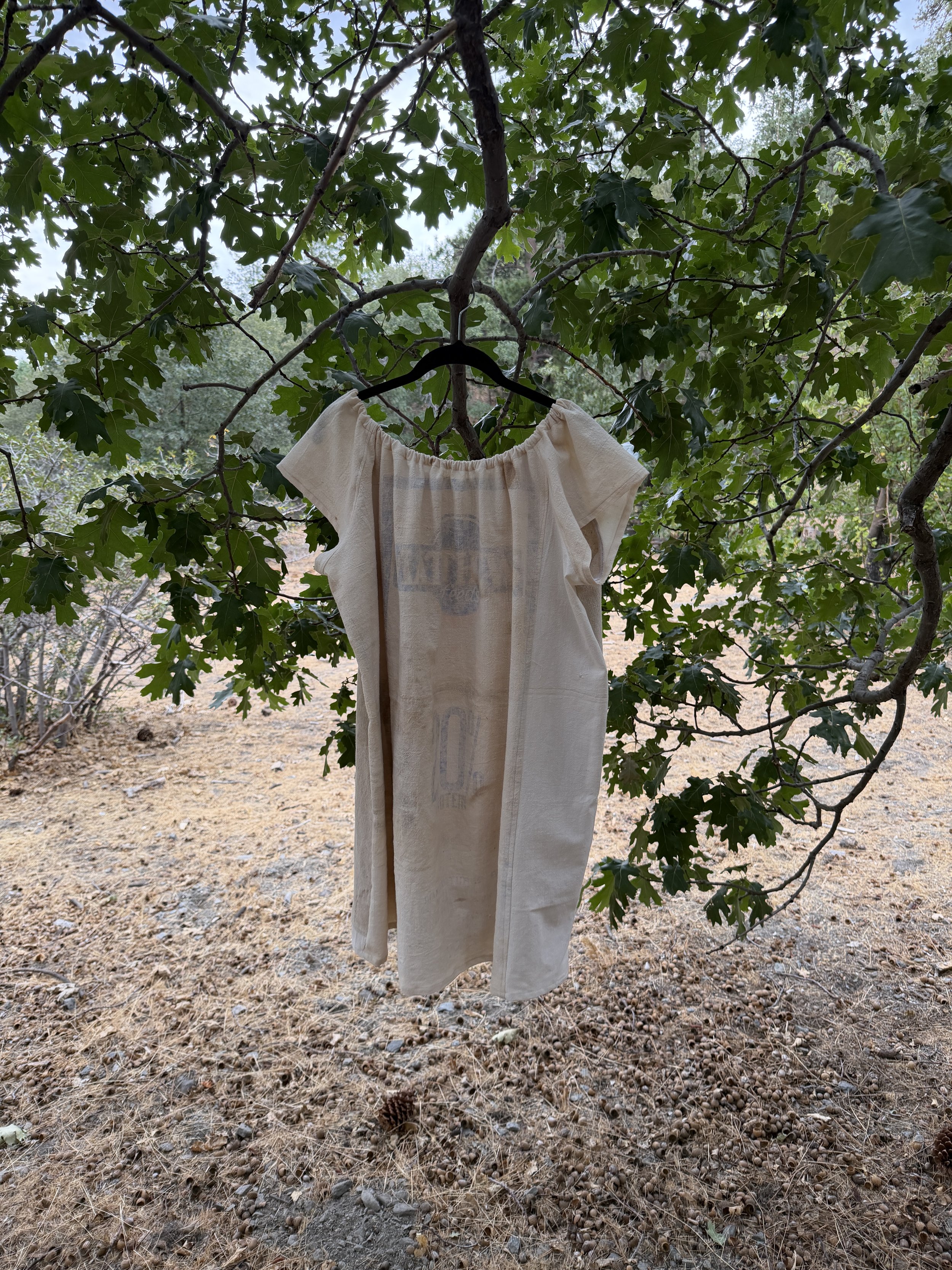 Matthews Hog - Feed Sack Dress [PROTOTYPE] | 1940s | fits S-M-L