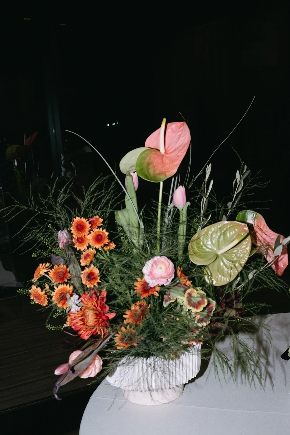 DSCF1774-RAF_DxO_DeepPRIME.webp
