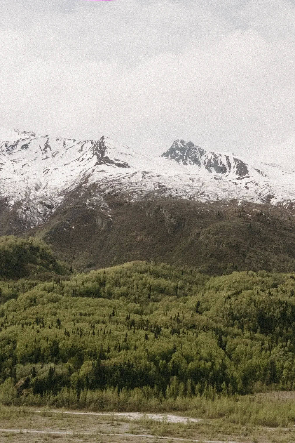 DSCF9987.webp