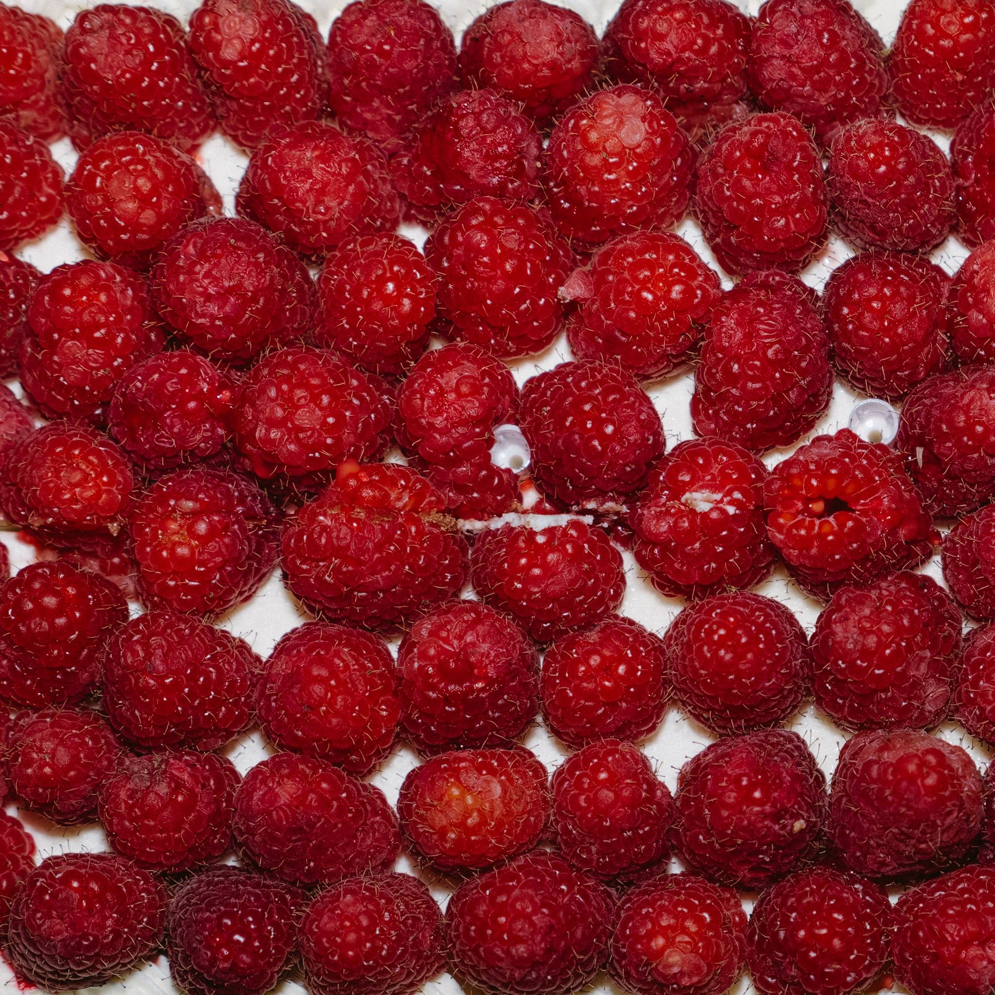 DSCF4229-RAF_DxO_DeepPRIME_websize.jpg