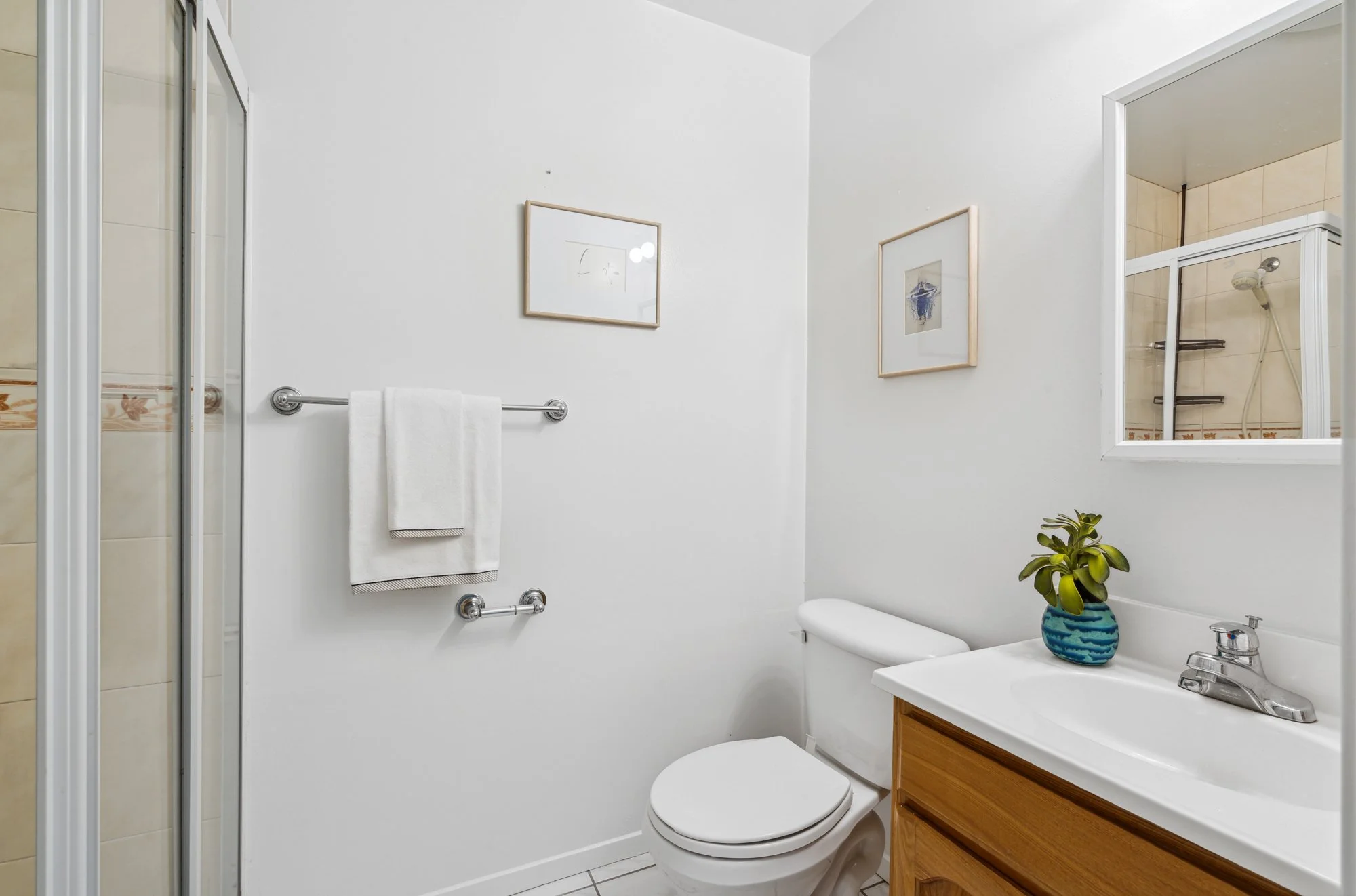 A small bathroom with a white toilet, a wooden vanity with a sink, a mirror, two framed pictures on the wall, a towel rack with a white towel, a potted plant in a blue vase, and a shower stall with glass doors.