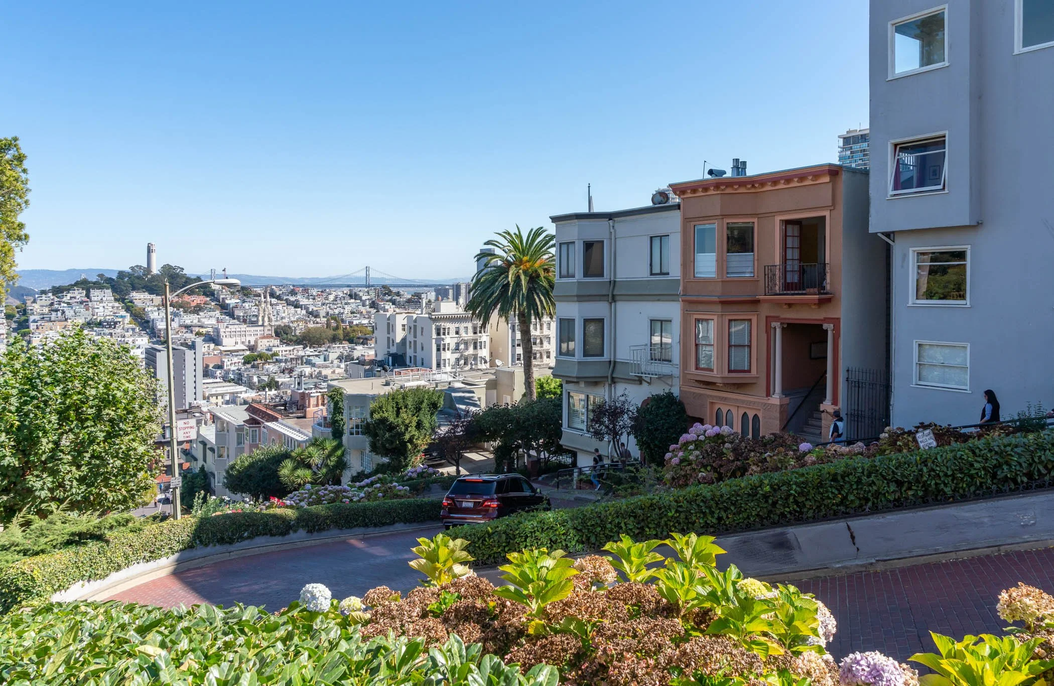 Cityscape view from a hillside with colorful houses, lush greenery, and a park with shrubs and hydrangea flowers. In the background, there are more buildings and a bridge under a clear blue sky.