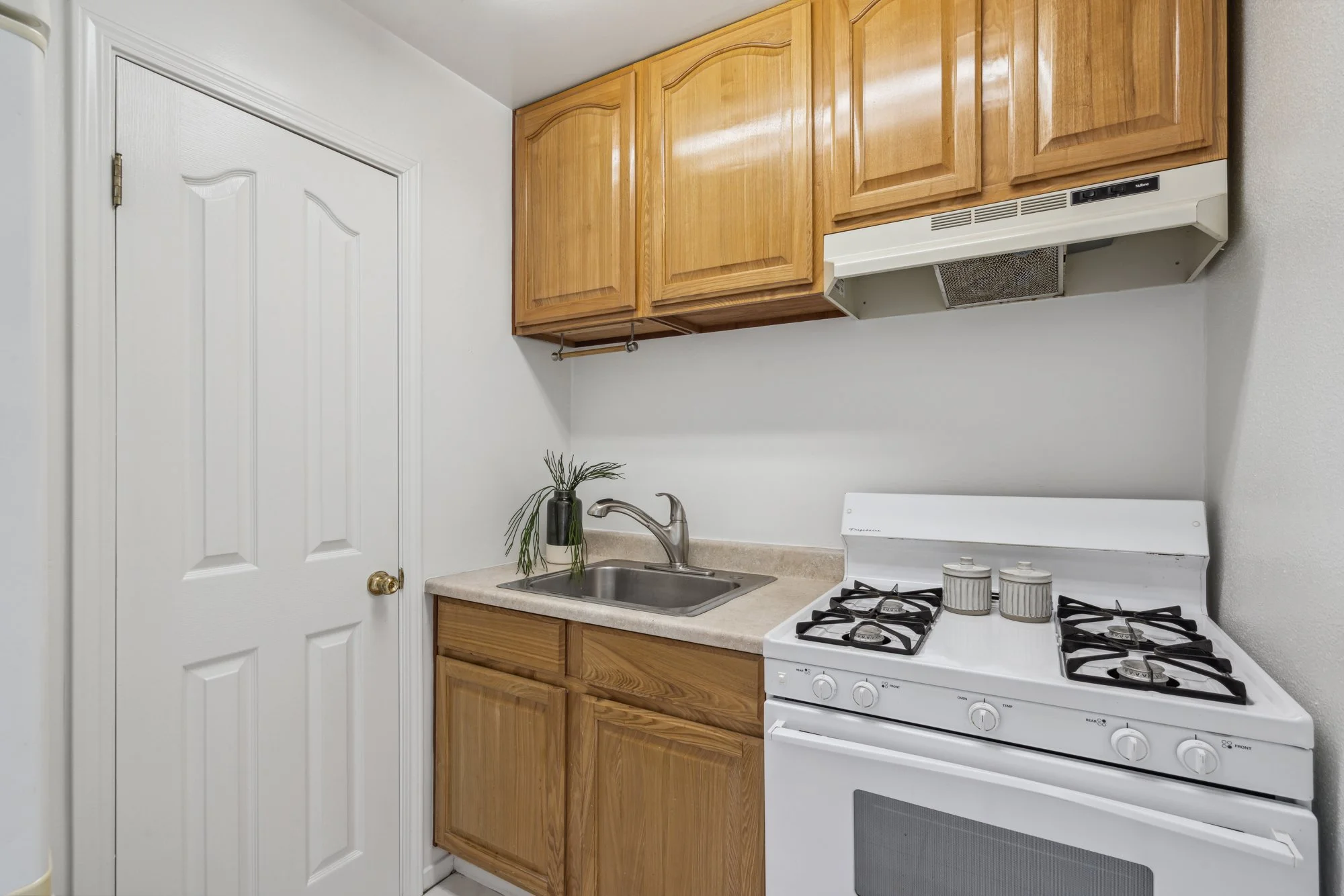 A small kitchen corner with wooden cabinets, a white stove, a beige countertop with a stainless steel sink, and a small plant with long leaves on the counter.
