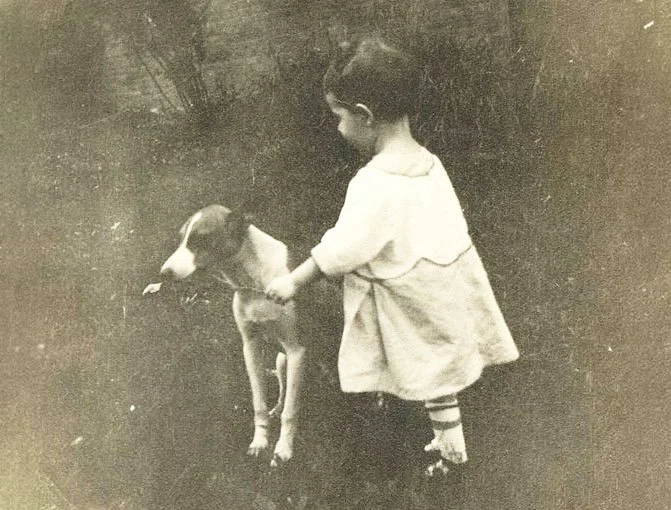 How Muncie Got Its First Animal Shelter