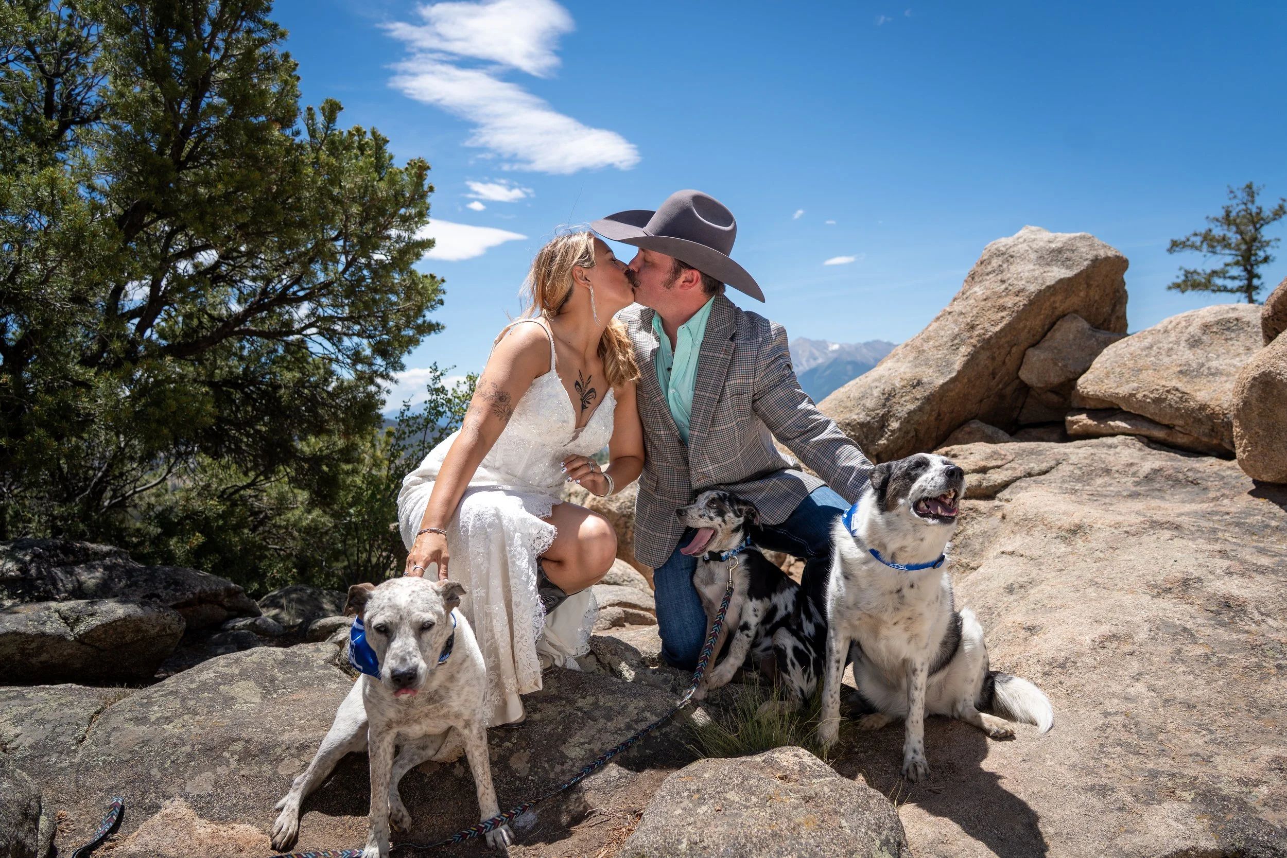 A bride and groom kiss with their pups on a mountain in Buena Vista, Colorado.