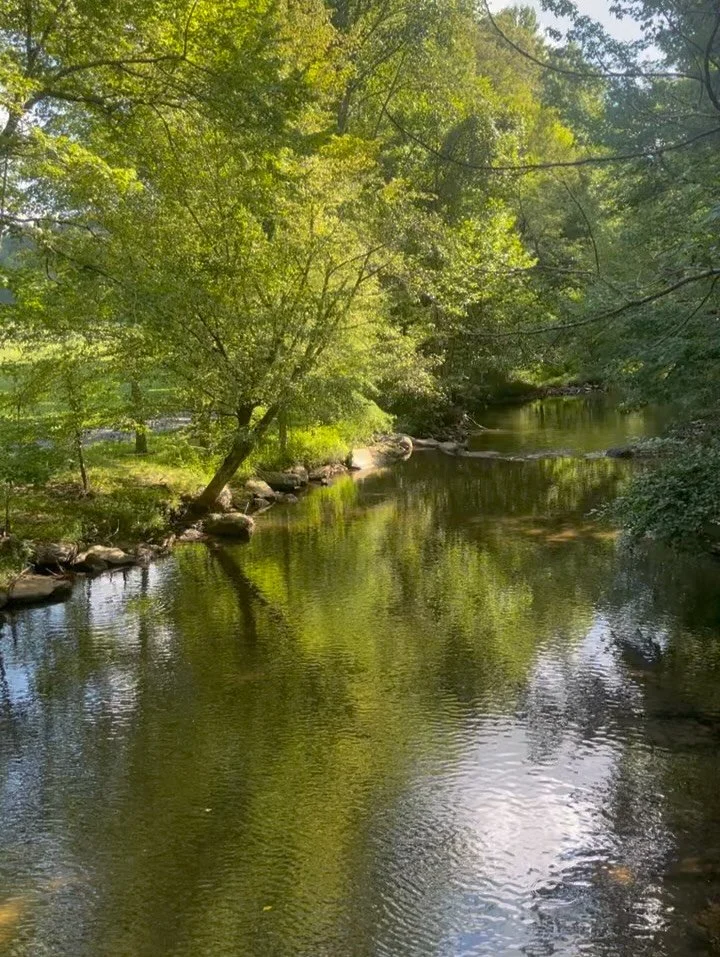 Another year wrapped! The palisades fire, relocating business, marriage, countless moments in nature, new friends and incredible moments with clients! A big year with many blessings. Thank you to all who have supported me this year. I can&rsquo;t wai