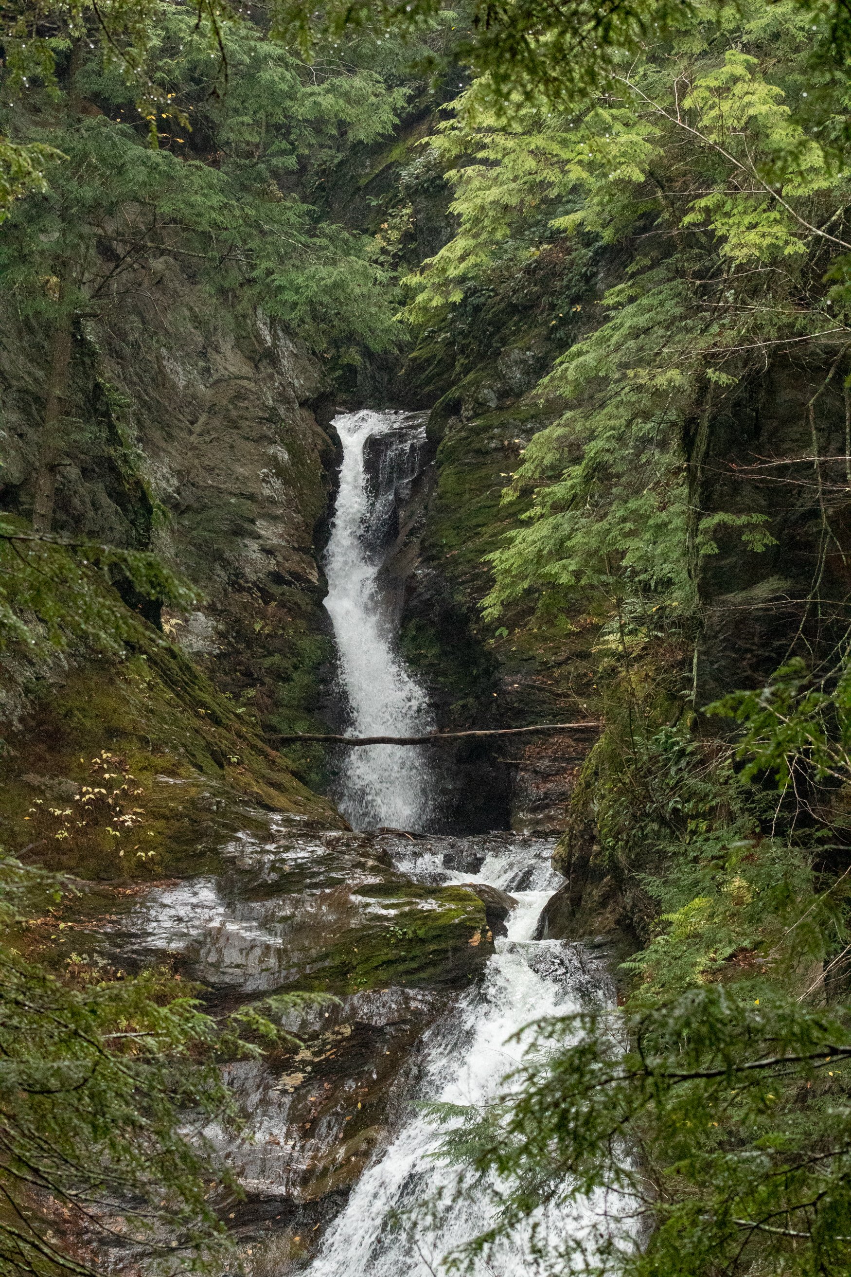 IMG_6721.jpg