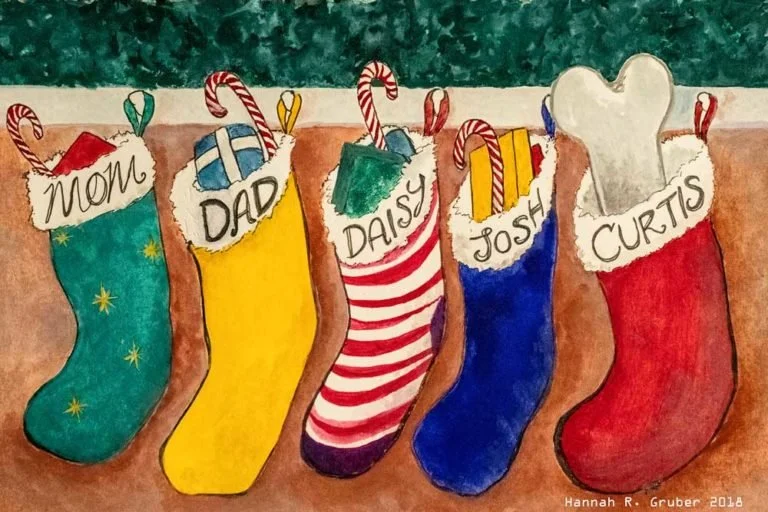 Artwork for "Explaining Curtis" - Written by Valerie Collins. 2018. Watercolor on Paper.