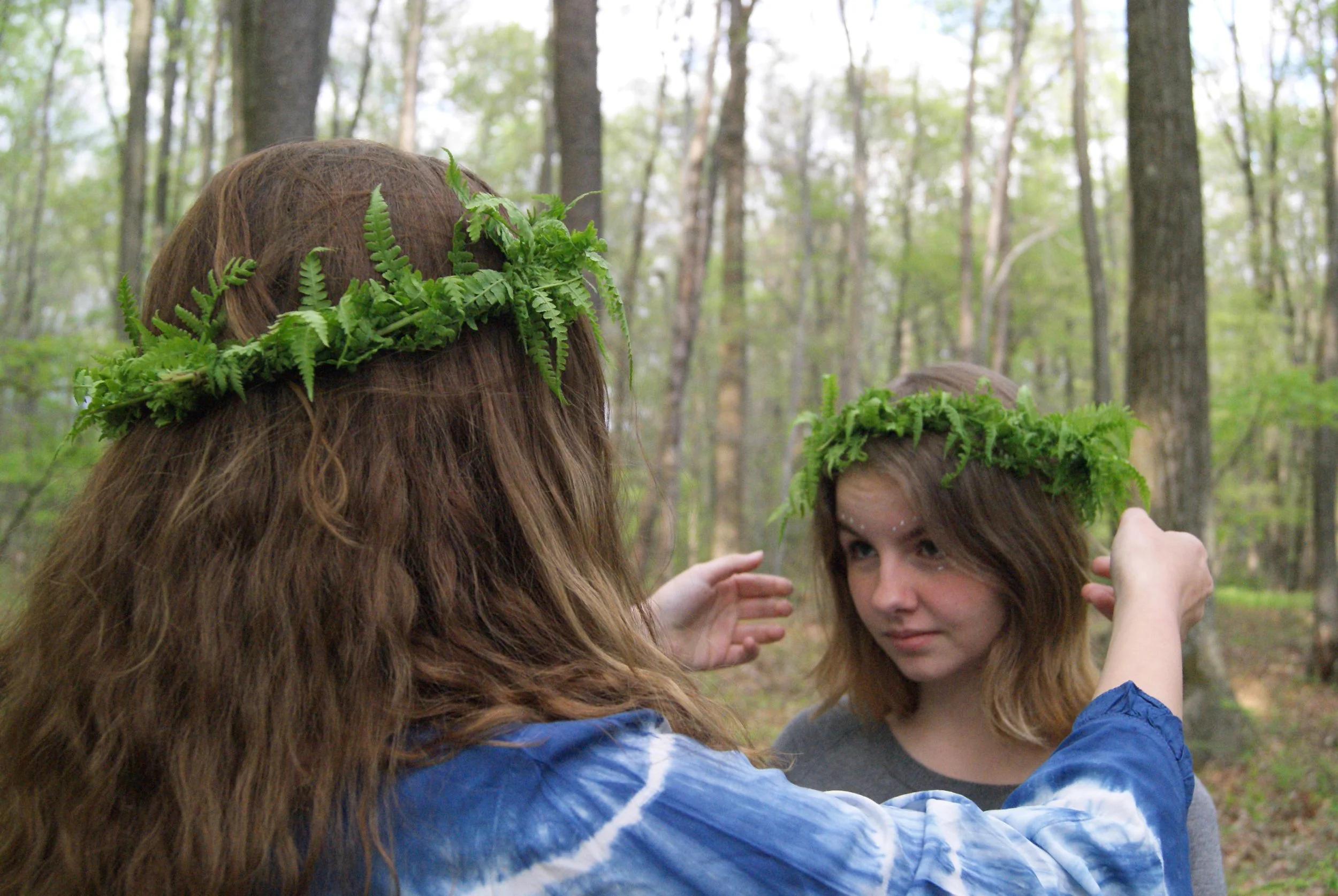 Bonding of Ferns.JPG