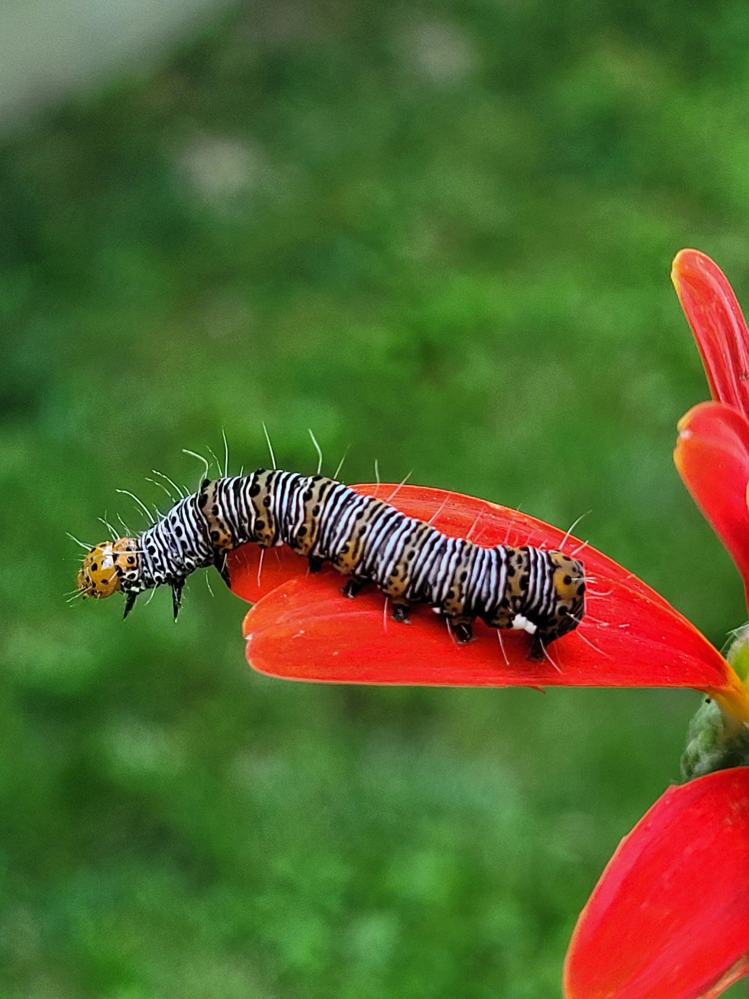 20220626_120106.jpg