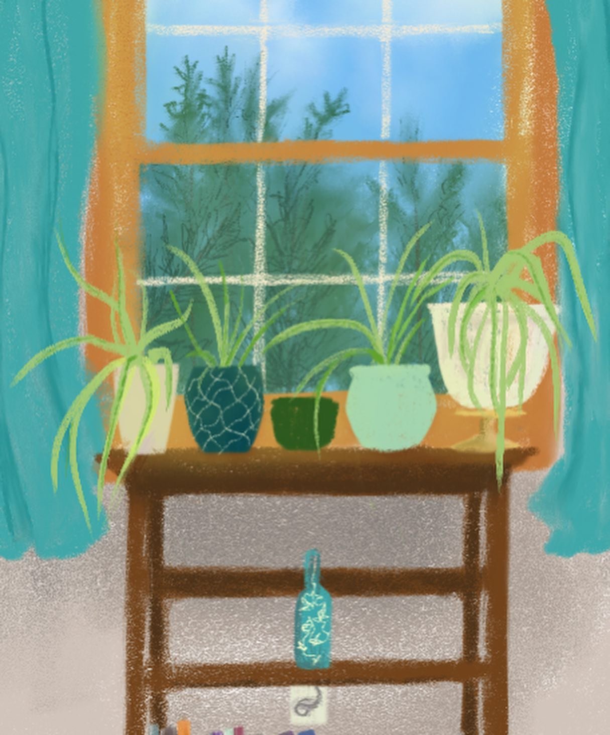 spiderplant jpeg 2.jpg