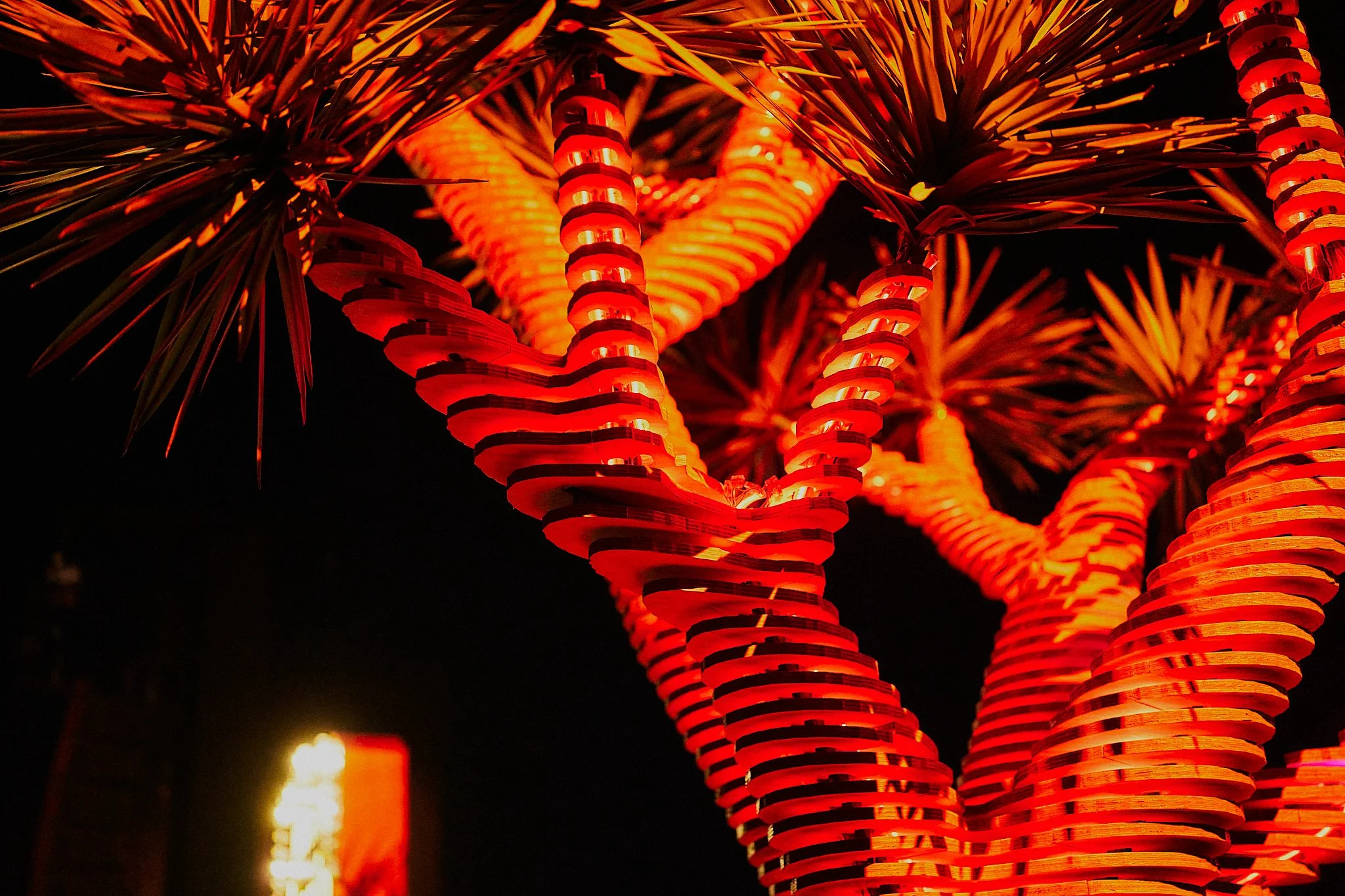 HBO-CMGCoachella2026-wknd1-RSP-web-150dpi_DSC9915.jpg