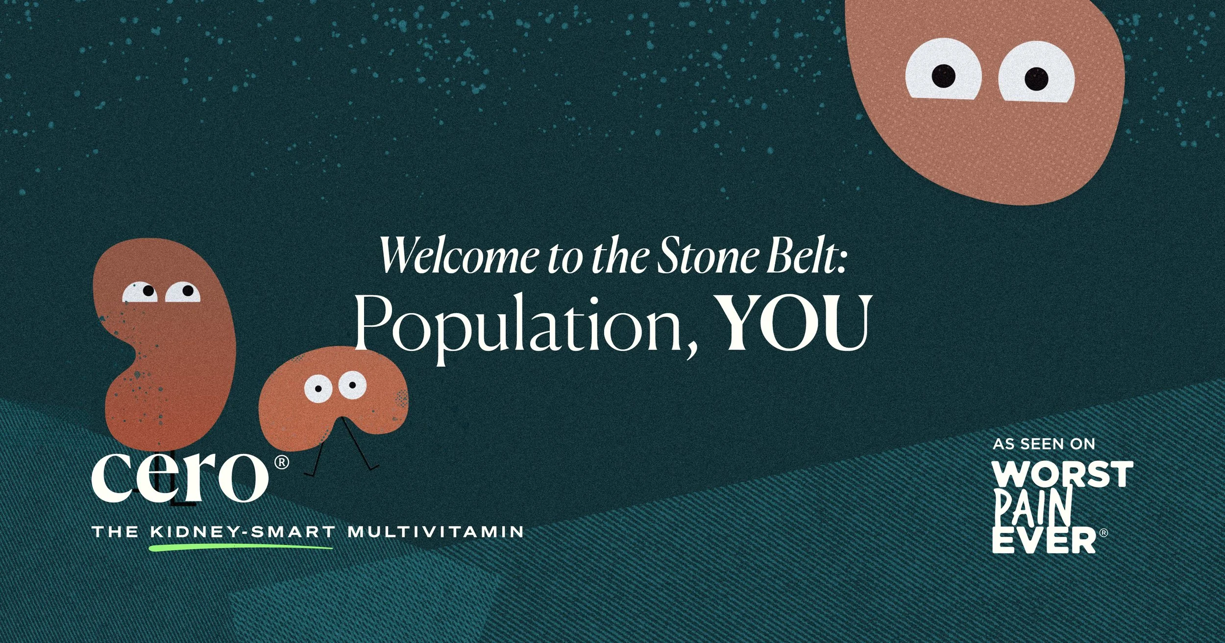 Why Geography Matters in Kidney Stone Risk