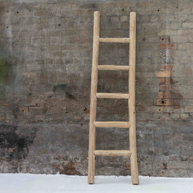 Elm Wood Ladder