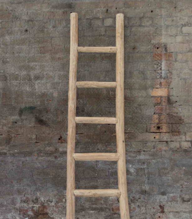 Elm Wood Ladder