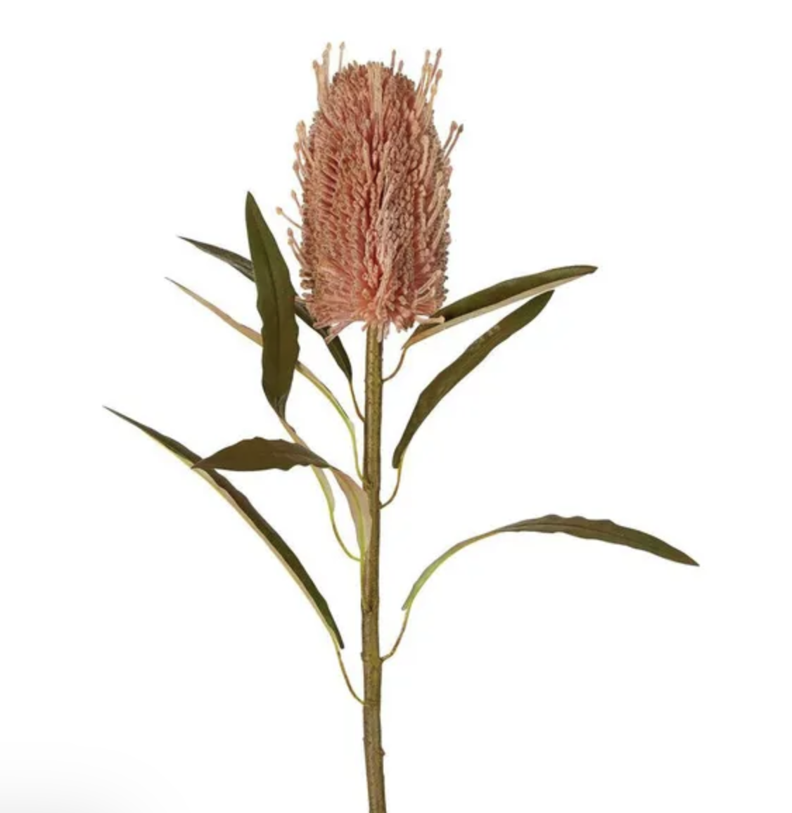 Screenshot 2026-01-22 at 10.17.36 am.png