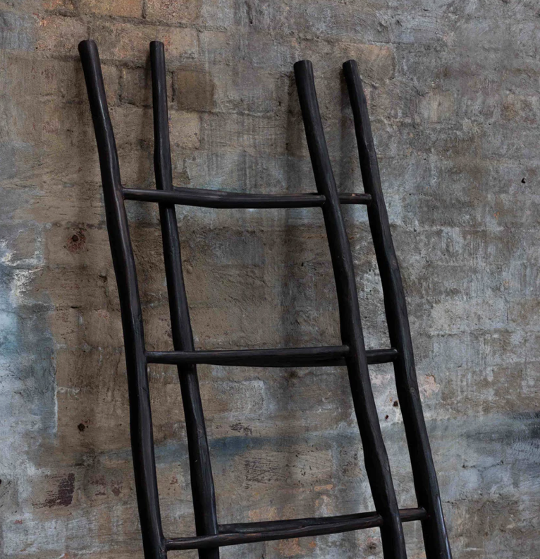 Teak Wood Ladder