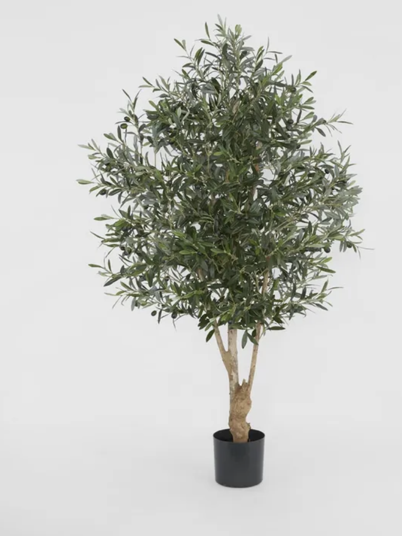 Screenshot 2026-02-26 at 11.38.52 am.png