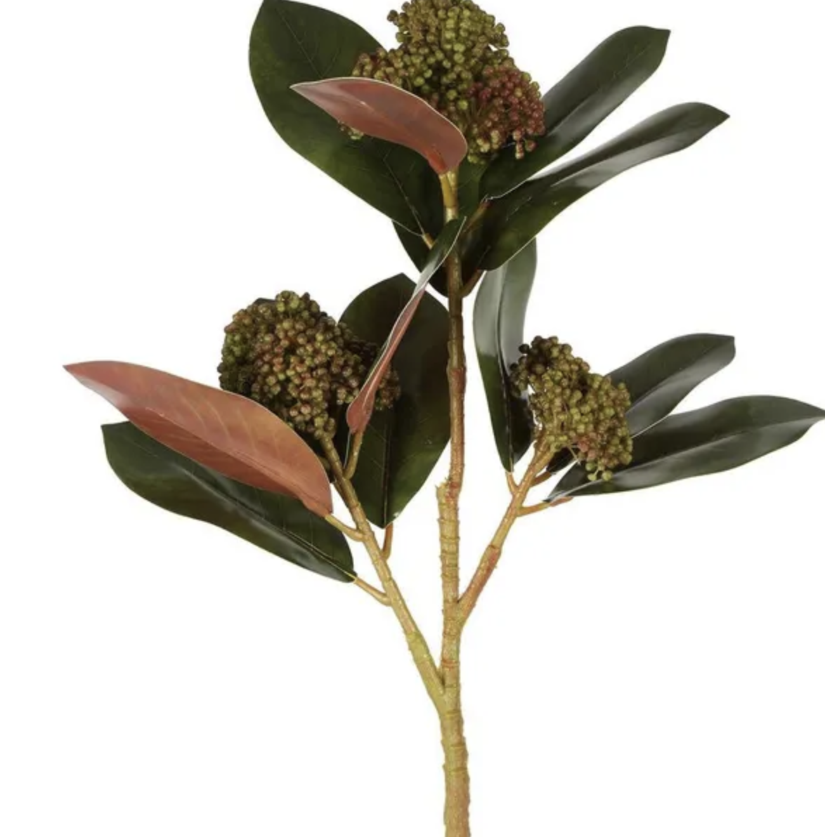 Magnolia Berry Spray - Burgundy