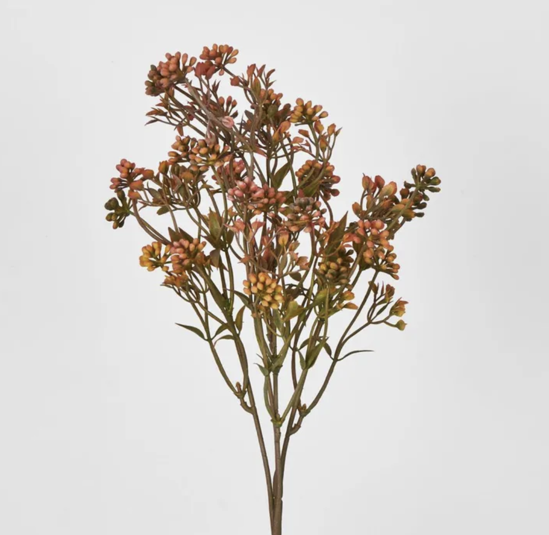 Badassi Bush With Peach Flowers
