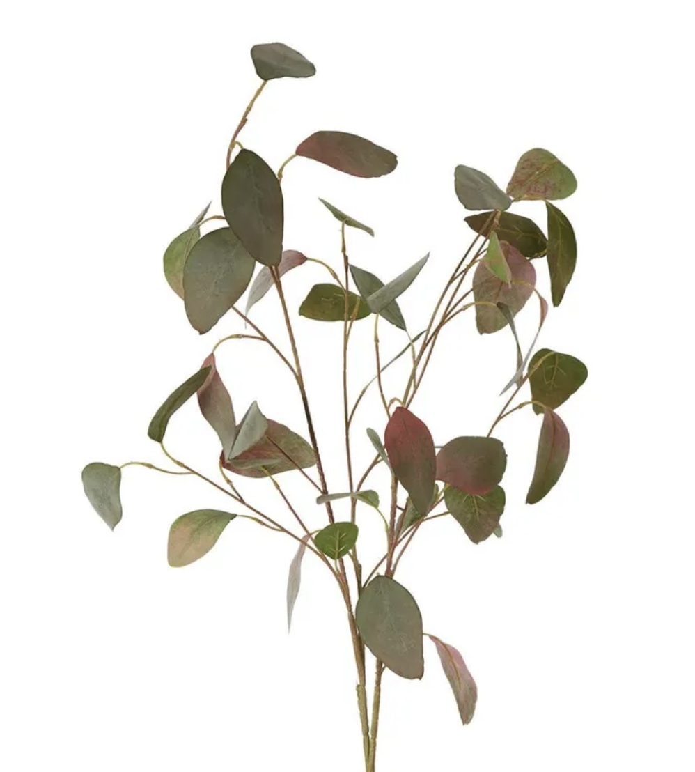 Screenshot 2026-04-16 at 9.36.03 am.png