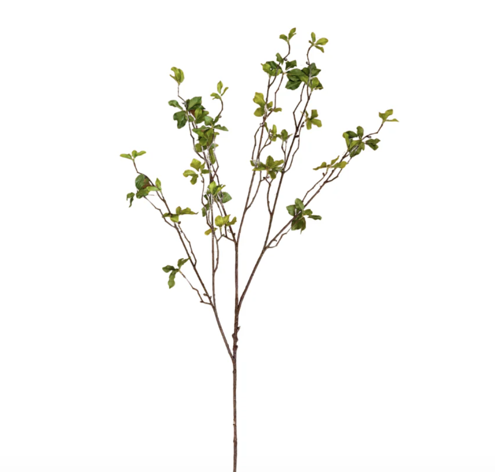 Screenshot 2026-04-16 at 9.42.53 am.png