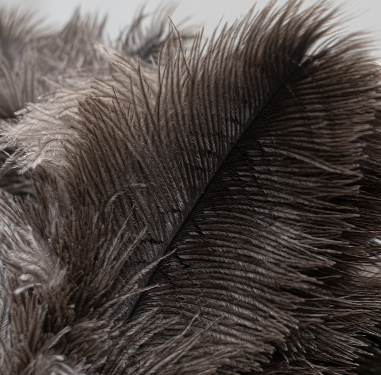 Screenshot 2026-01-24 at 12.20.57 pm.png