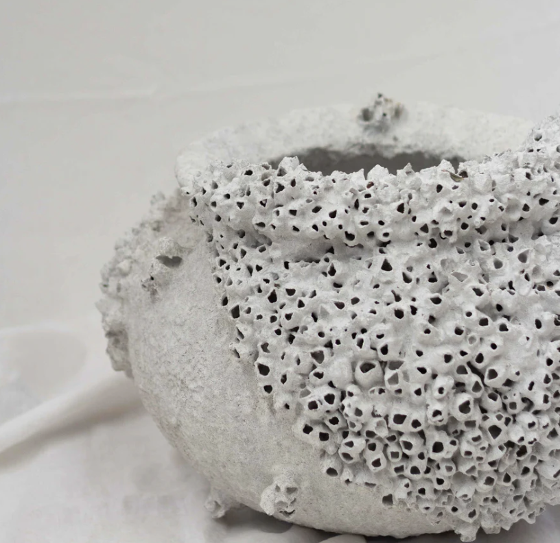 Screenshot 2026-03-26 at 2.16.10 pm.png