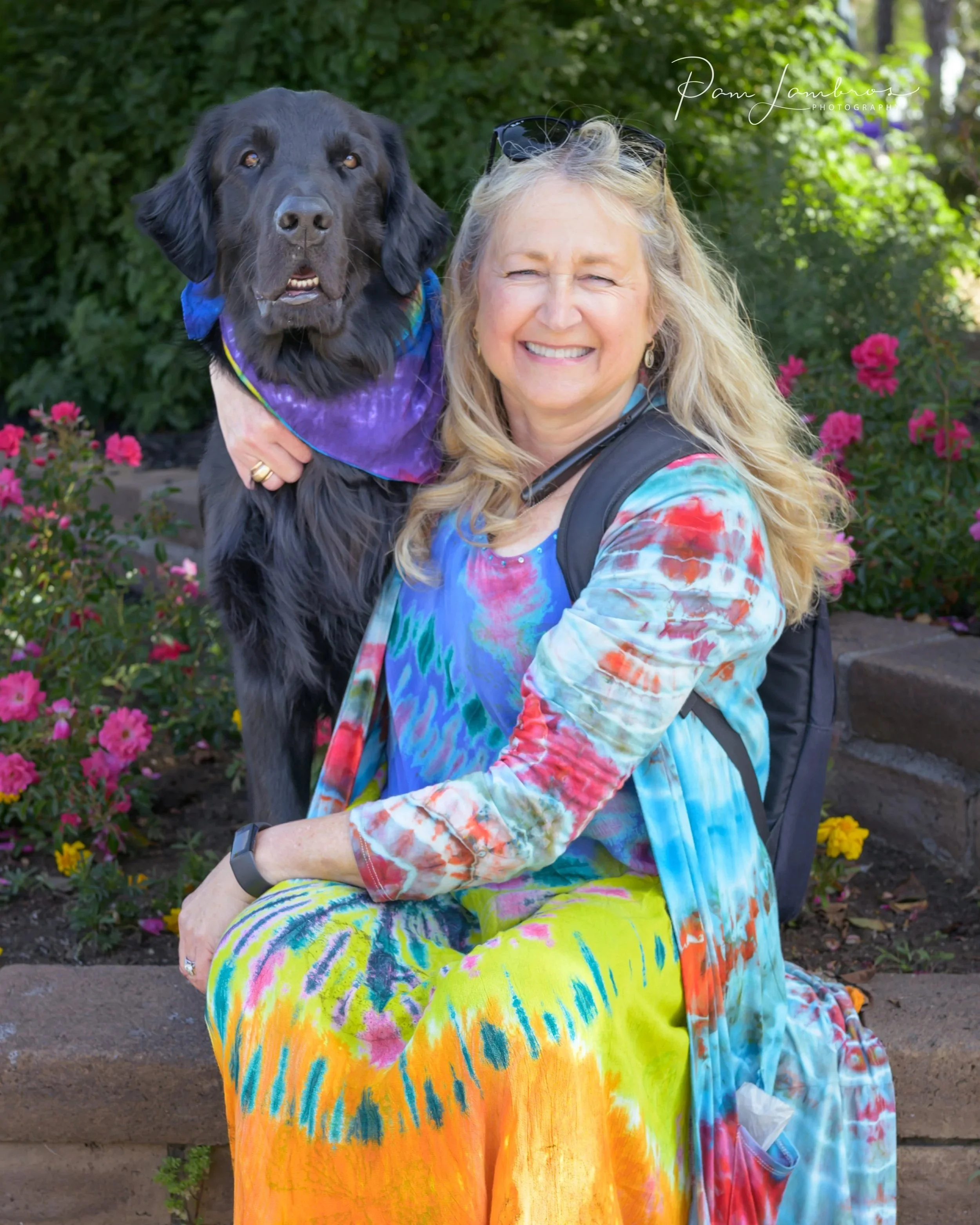Therapy Dog 