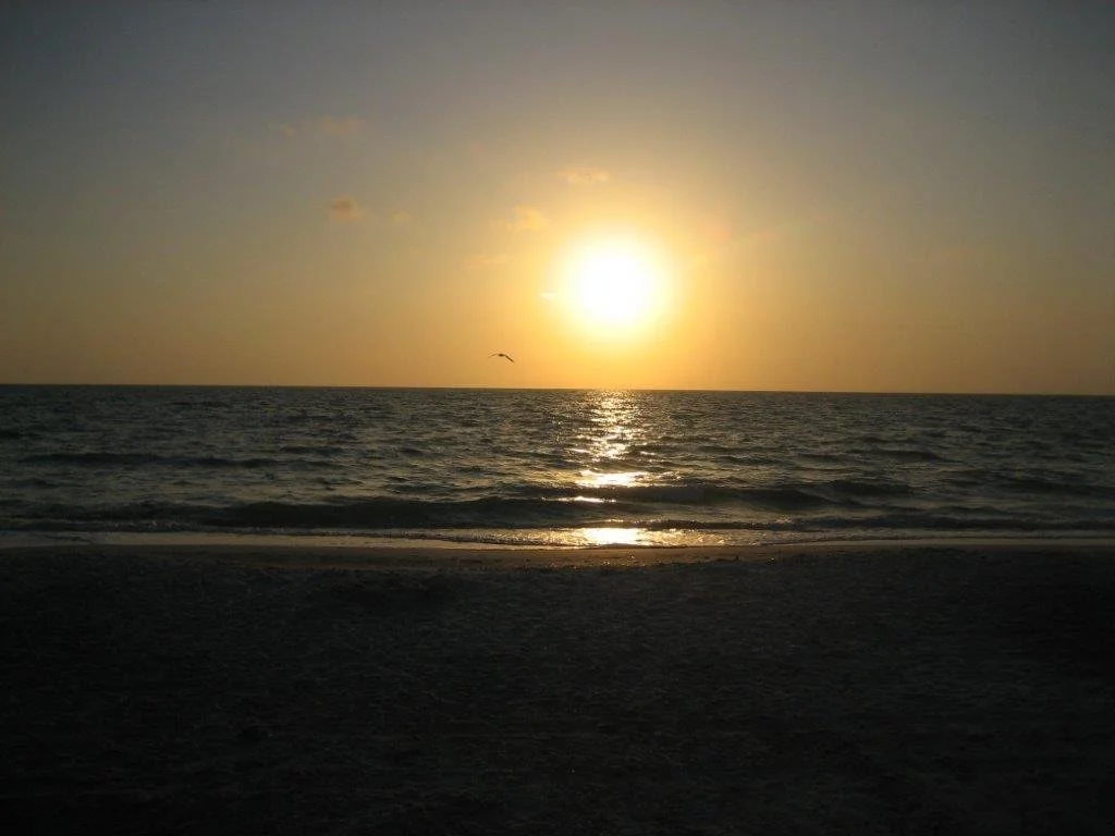 15-Sunset.jpg