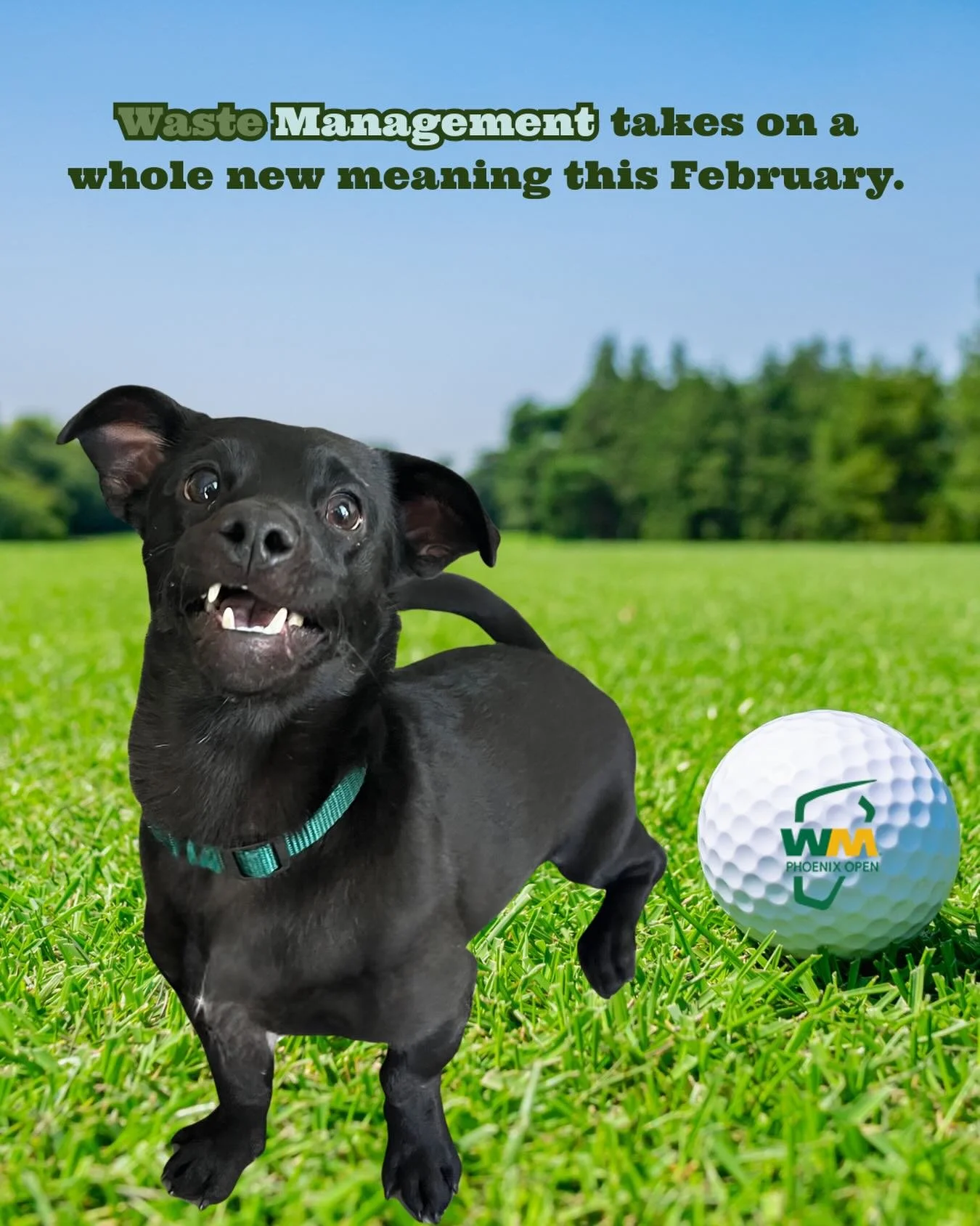 The People&rsquo;s Open is just two weeks away! Are you going?

Book your pet care at goodpetsaz.com. We know a thing or two about waste management 👀
.
.
.
.
.
.
.
.
.
.
.

#thepeoplesopen #WMPO #petsitter #phoenix #dogwalker