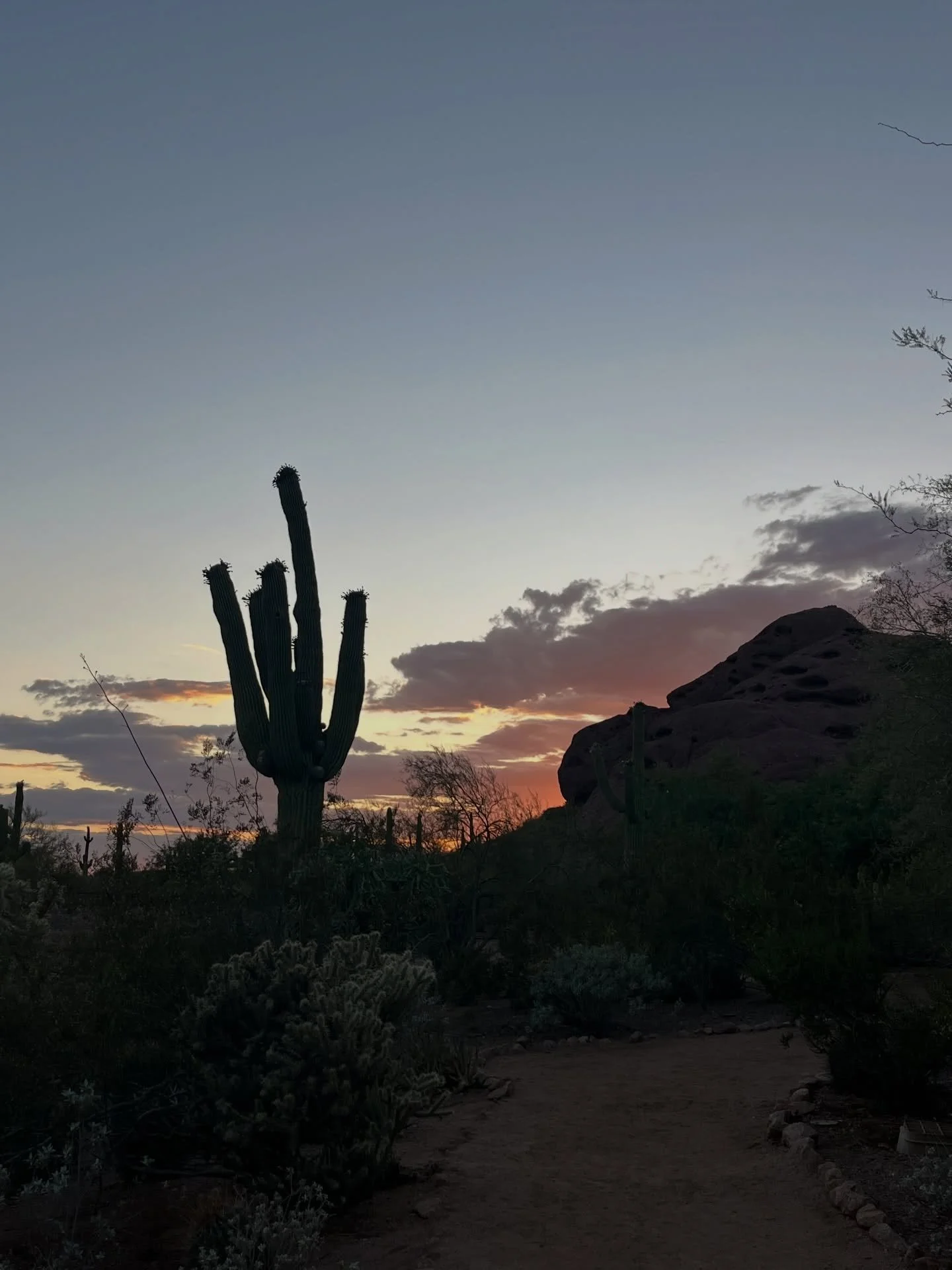 A little Arizona appreciation since it&rsquo;s her bday💕How lucky are we to get outside every day and experience this beauty?? Some of these were taken while out walking pups in your neighborhood!
.
.
.
.
.
.
.
.
.
#arizona #dogwalking #nature #vale