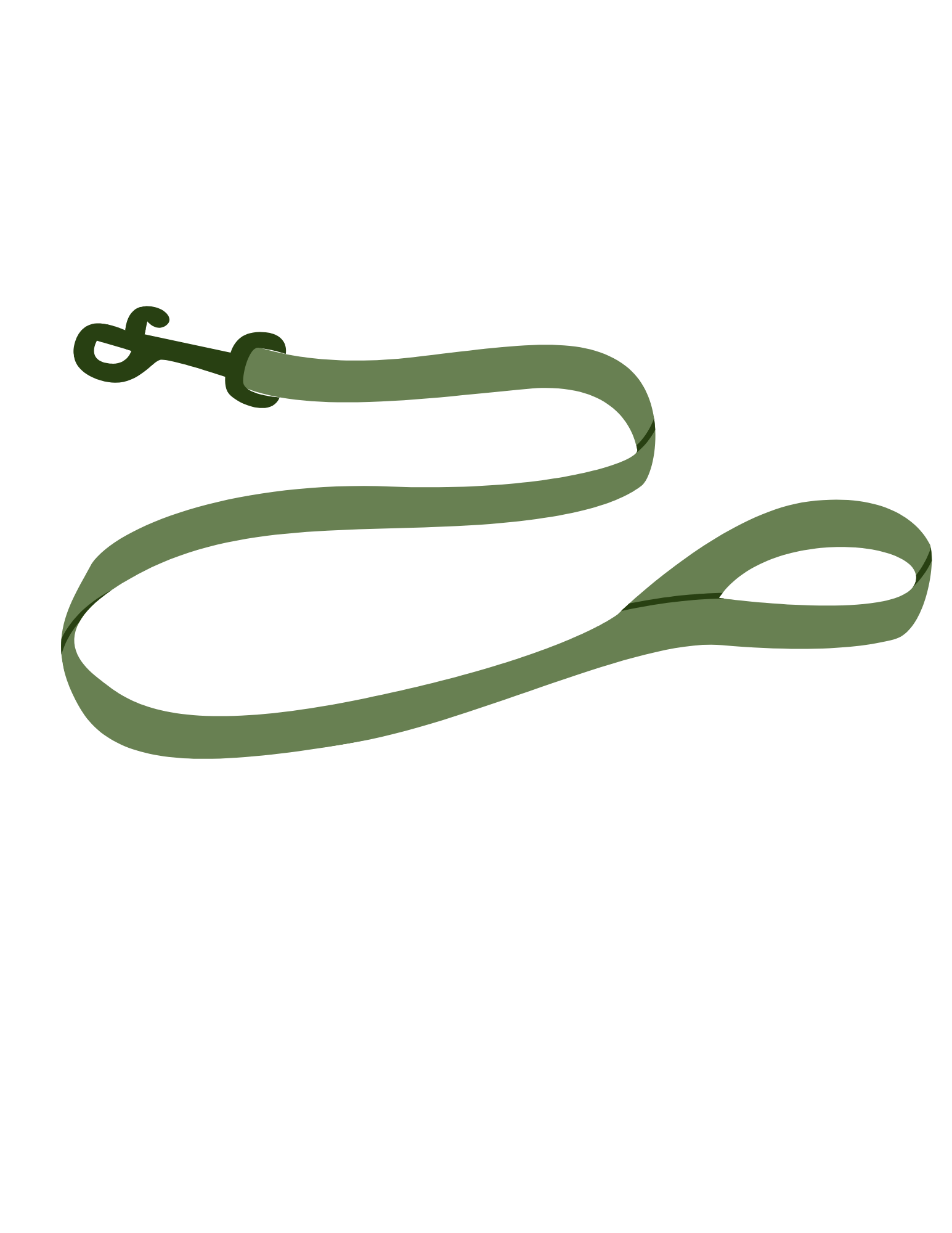 An illustrated green dog leash with a metal clip.