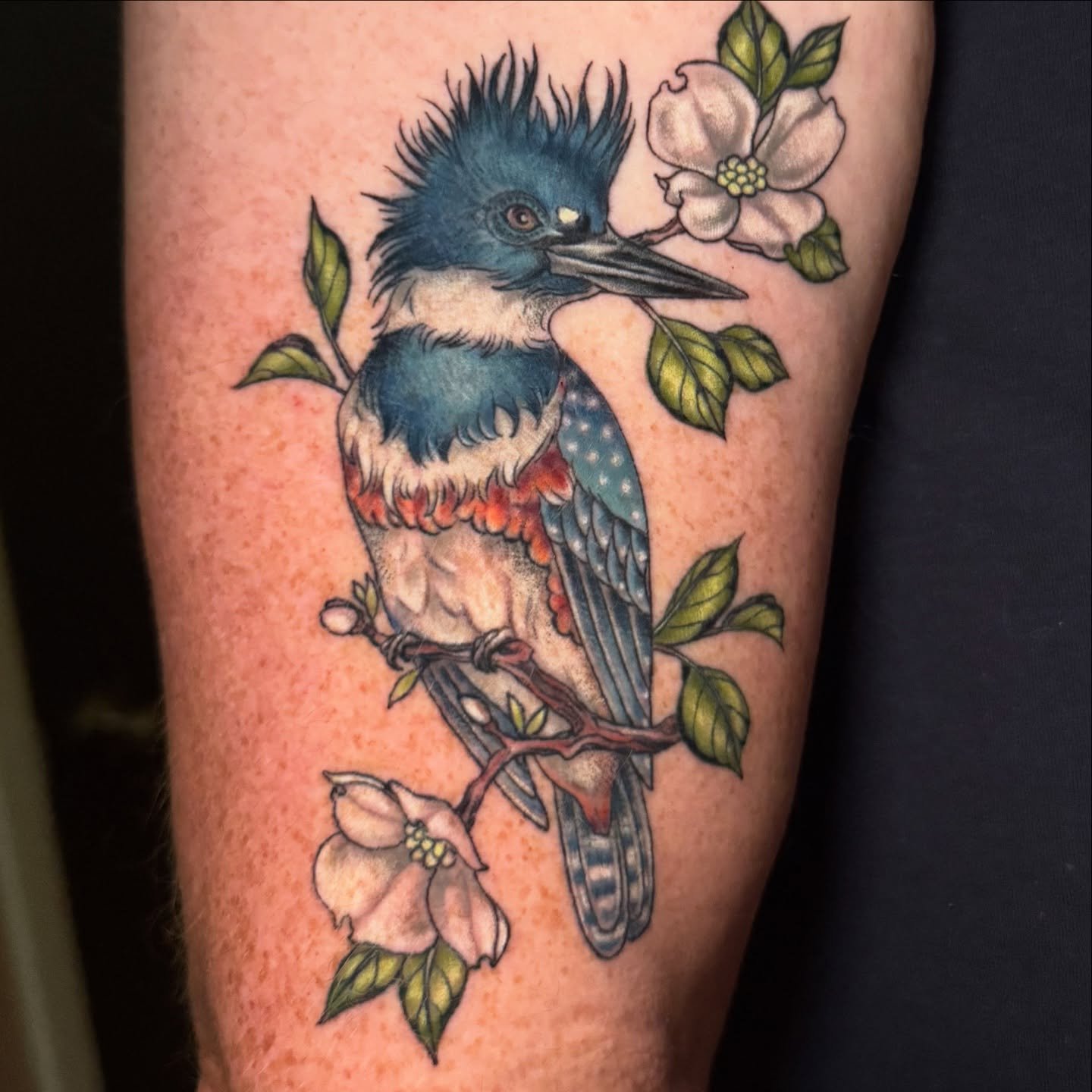 Almost forgot this sassy boi. This tattoo is 2 months healed, and we did a lil touch up. Please don&rsquo;t hesitate to ask for one! I love giving it a once over and the opportunity to snap a less angry pic! Thanks so much- birds are one of my fave s