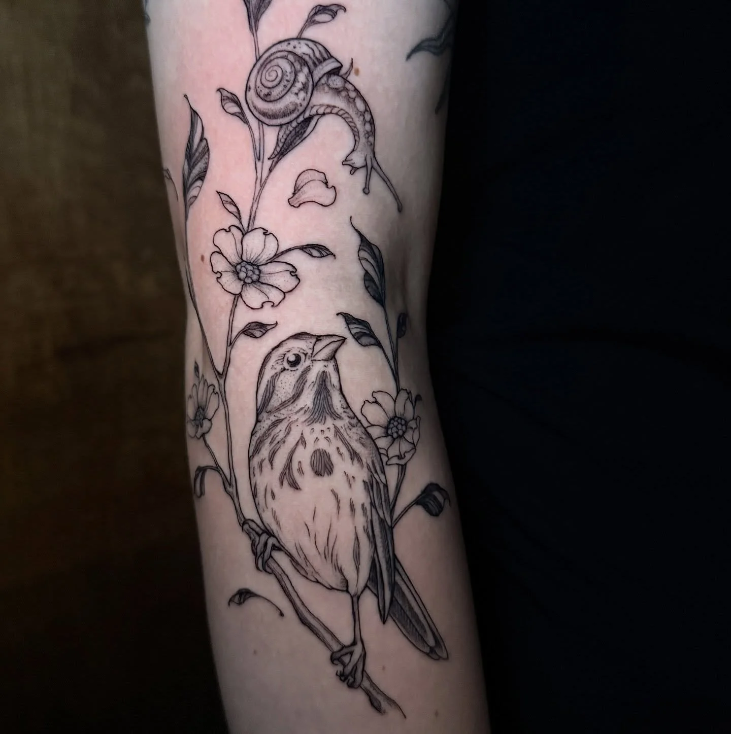 Nothing cuter than unlikely animal friends! This was so fun. Would love to do more blackwork birds. Thanks!! #athensga #athensgatattoo #atltattooartist #atltattoos #finelinetattoos