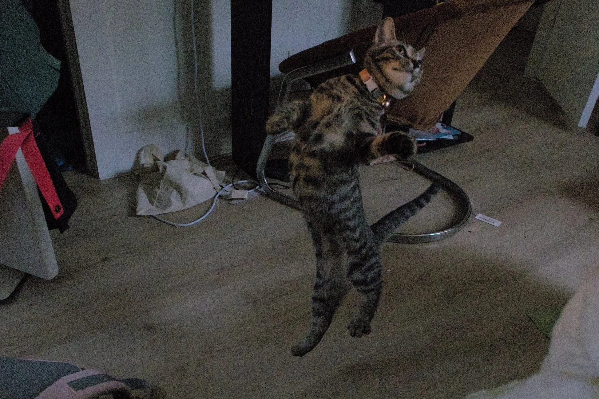 test.jpg