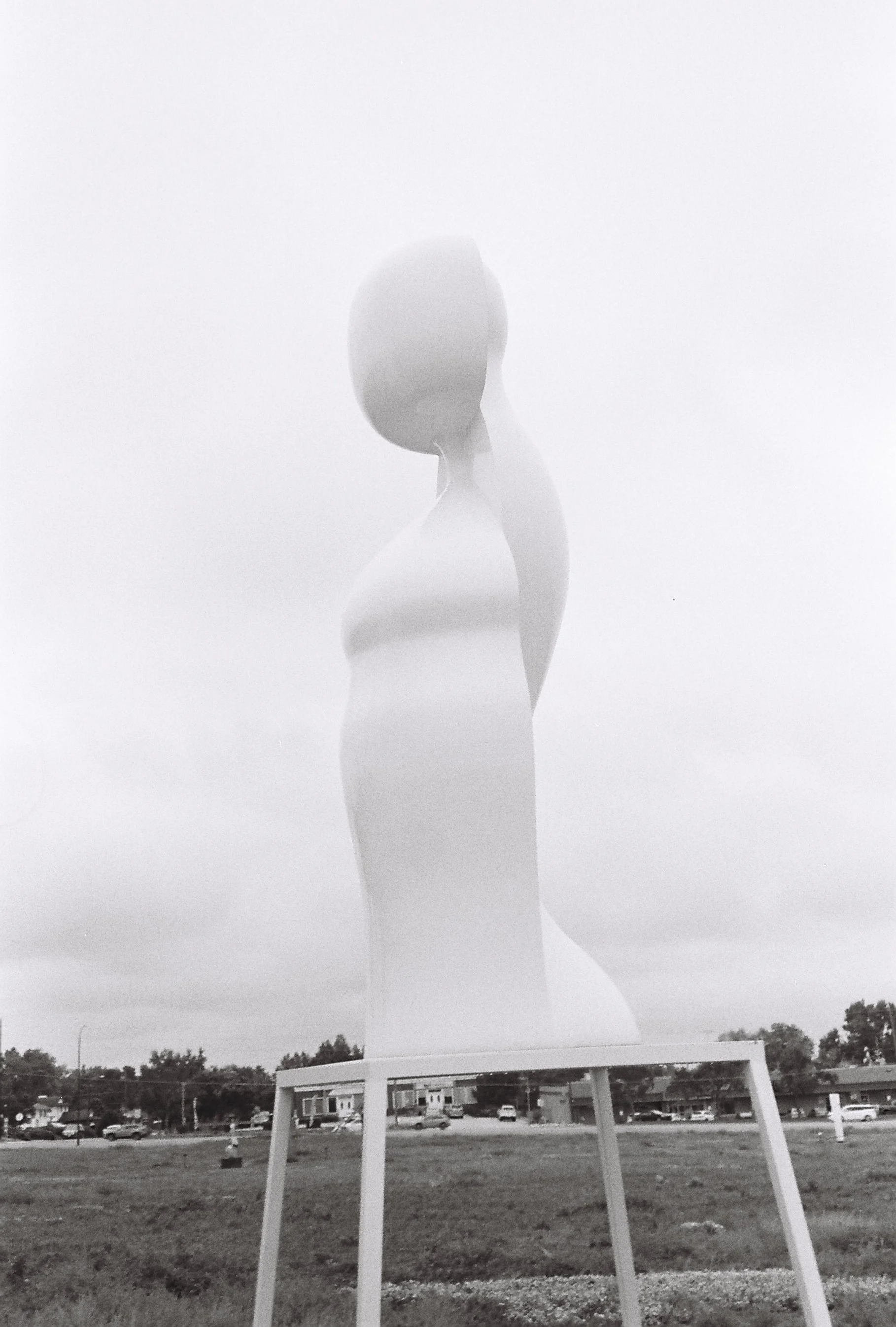 4979024086-R1-E016.jpg