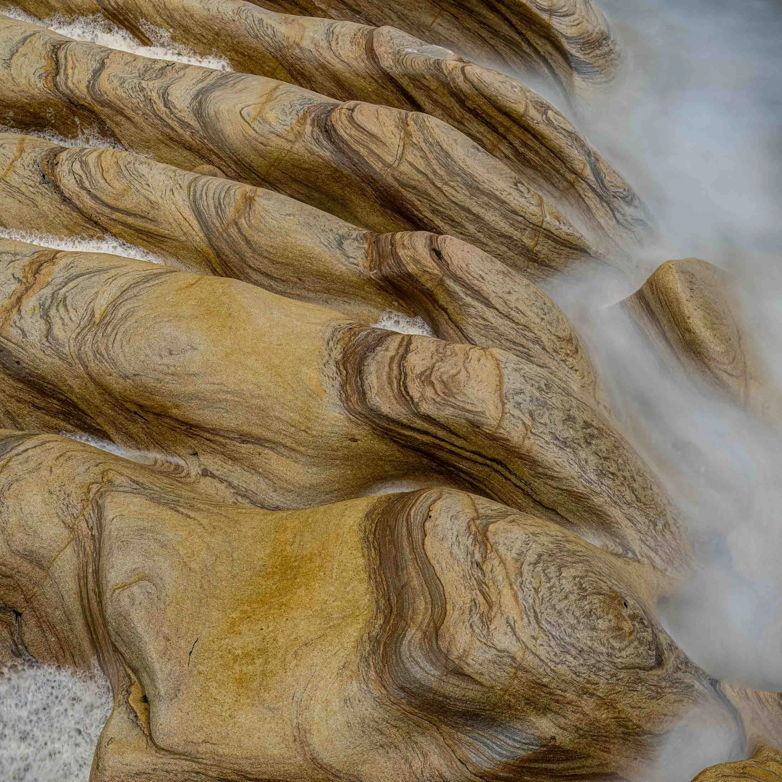 Sandstone rock formation | Spittal Beach | Northumberland 