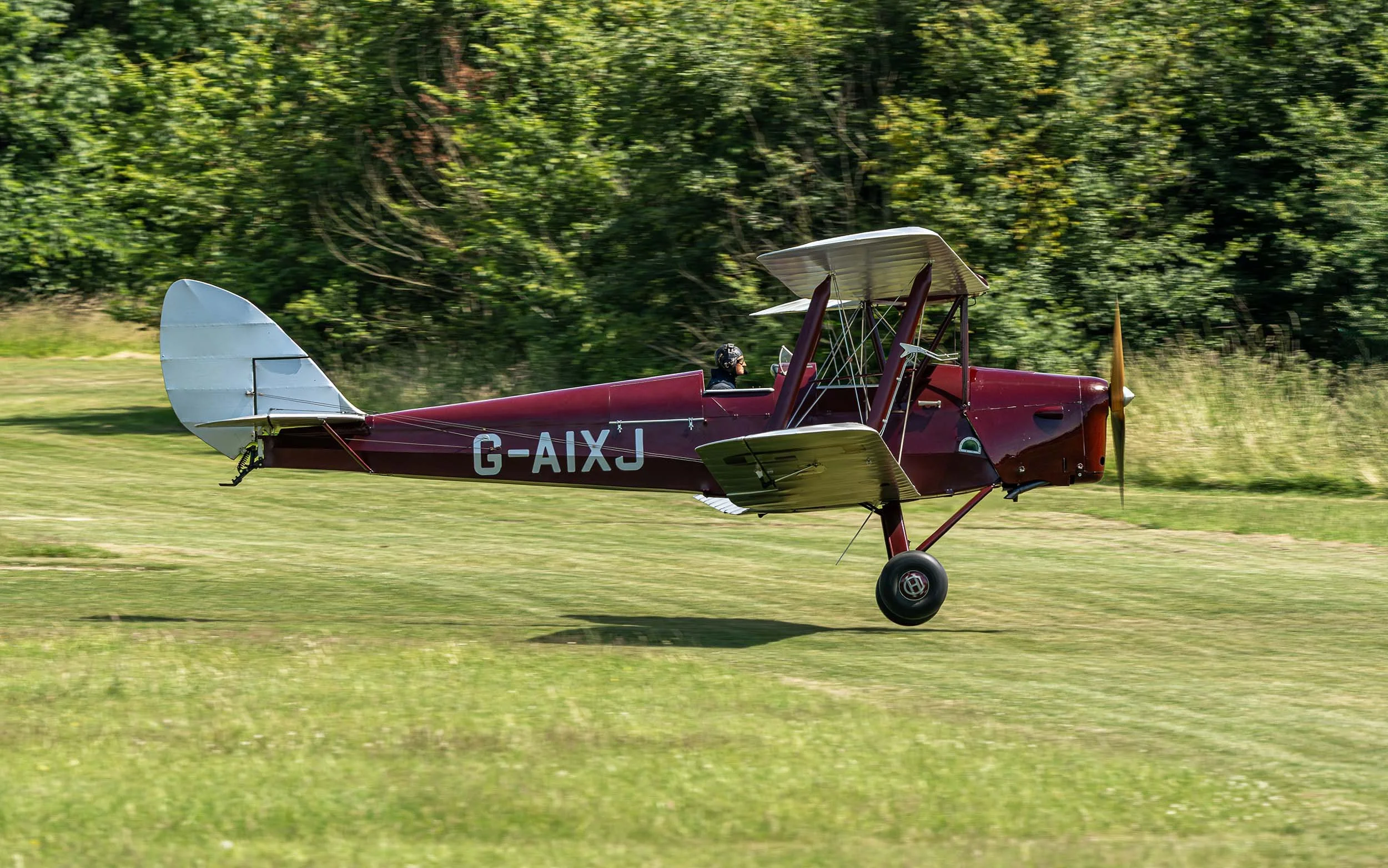 de Havilland DH.82A | Festival of Flight 2024