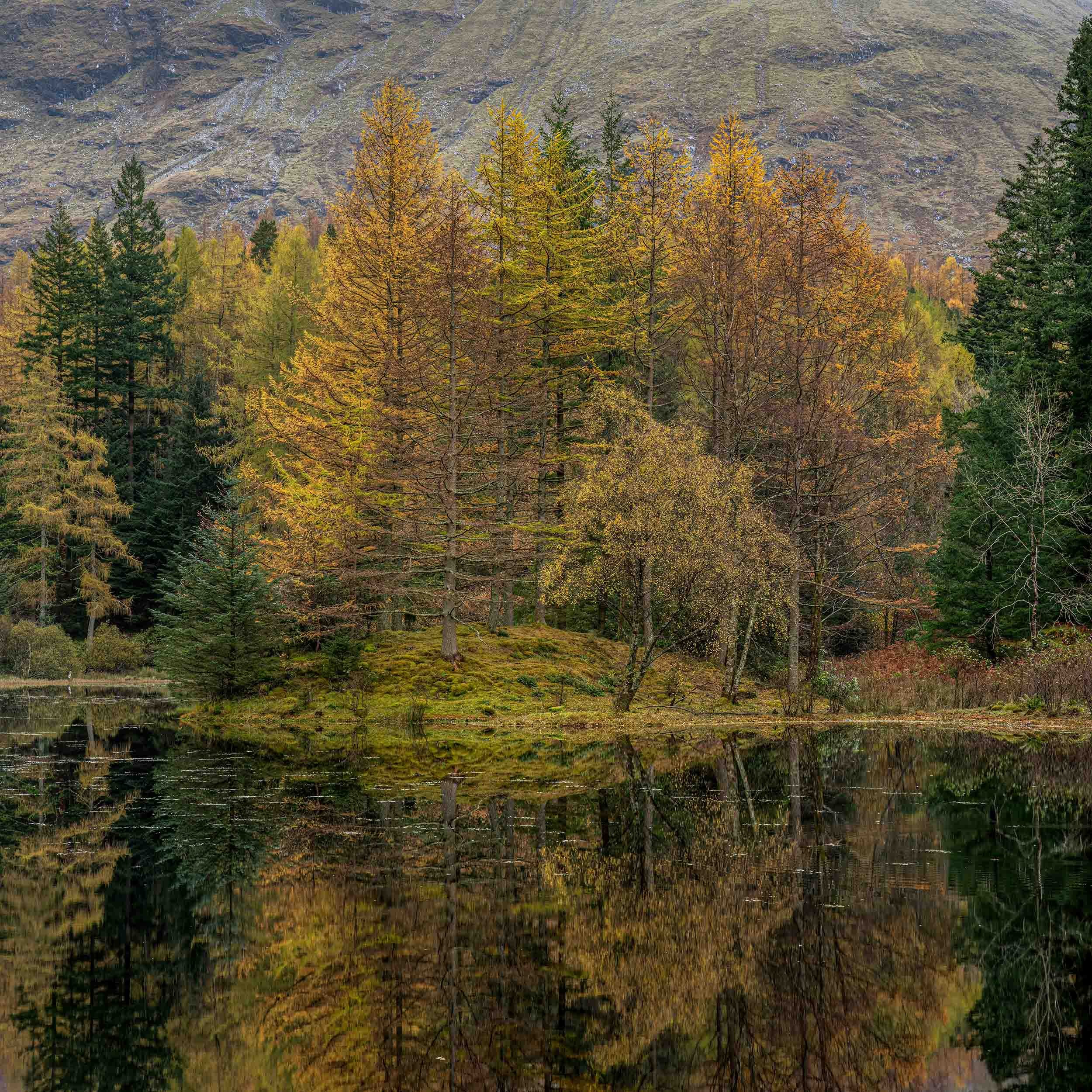 Autumn Reflections | Torren Lochan | Glencoe