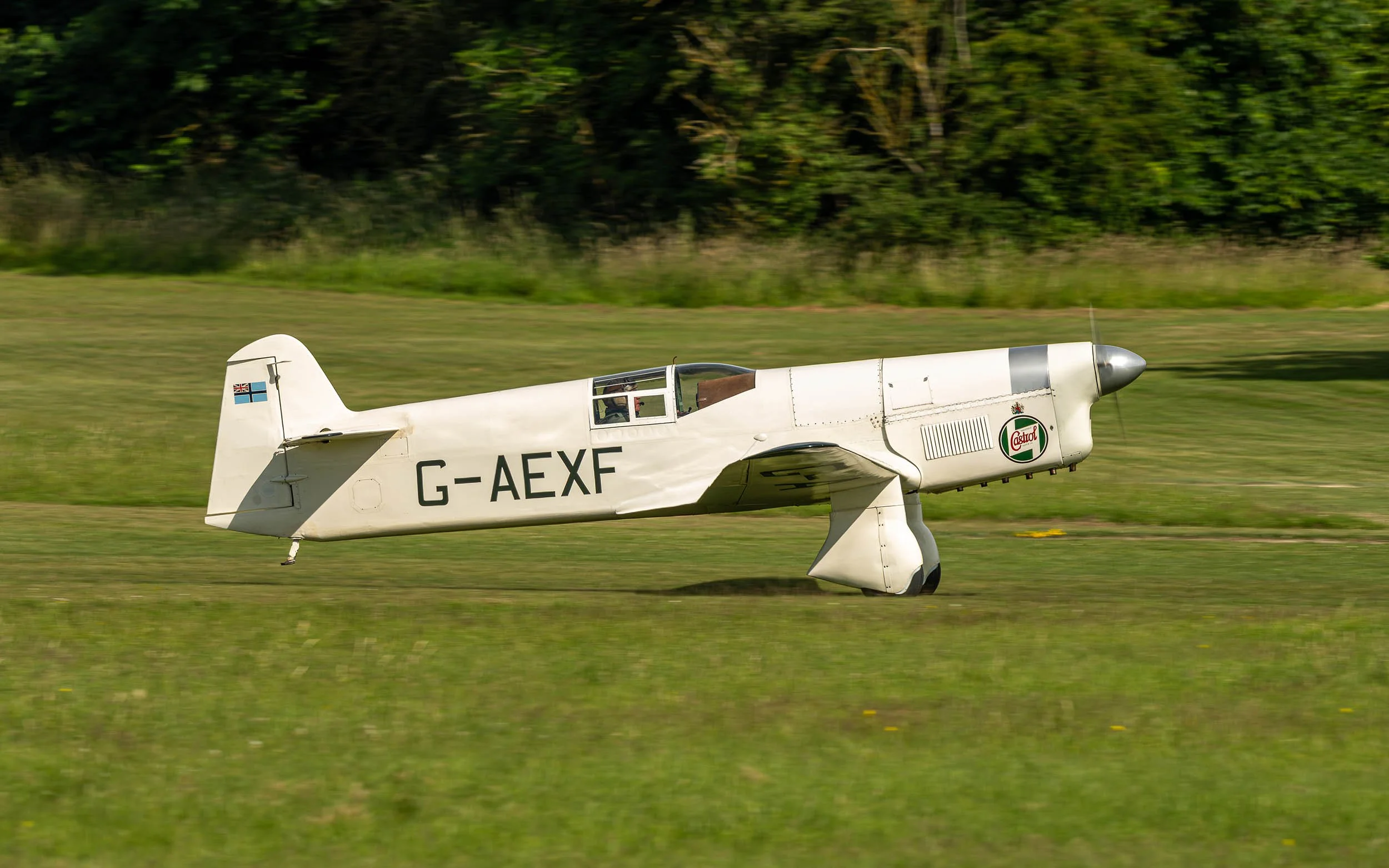 Percival Mew Gull | Festival of Flight 2024
