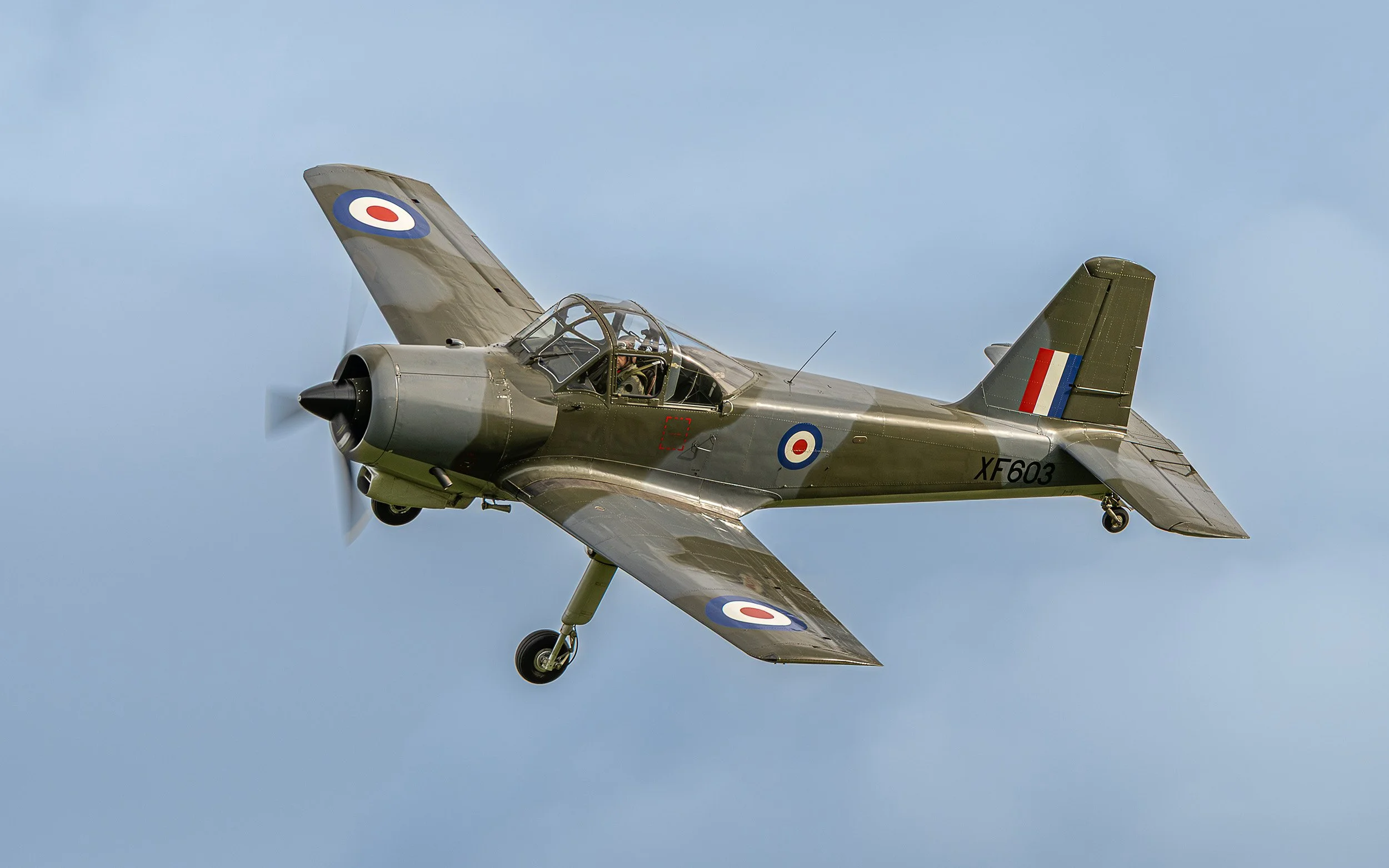 Percival Provost | Raceday Airshow 2025