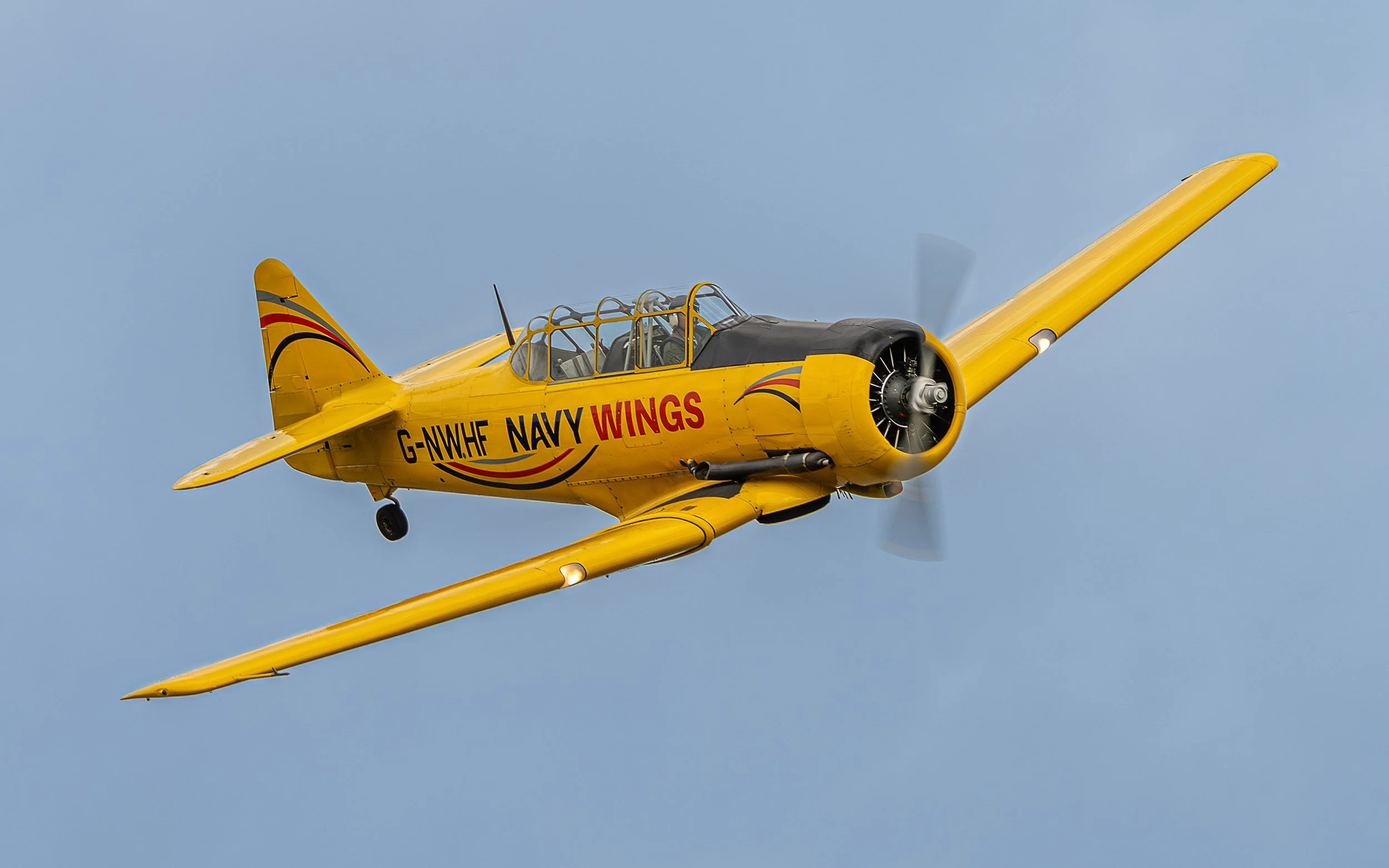 North American Harvard Mk.IV | Raceday Airshow 2025