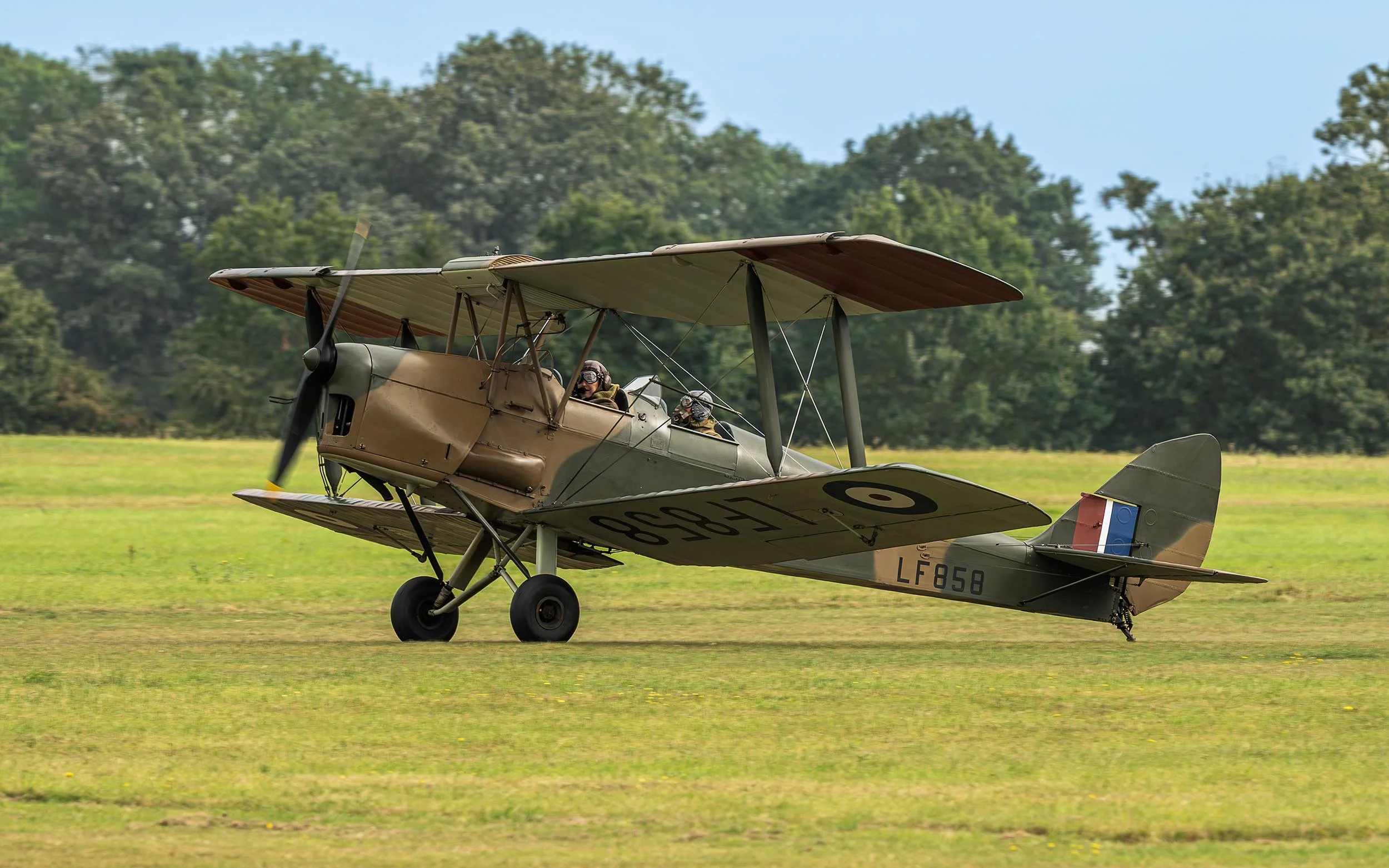 de Havilland DH.82B Queen Bee | Flying Proms Airshow 2024