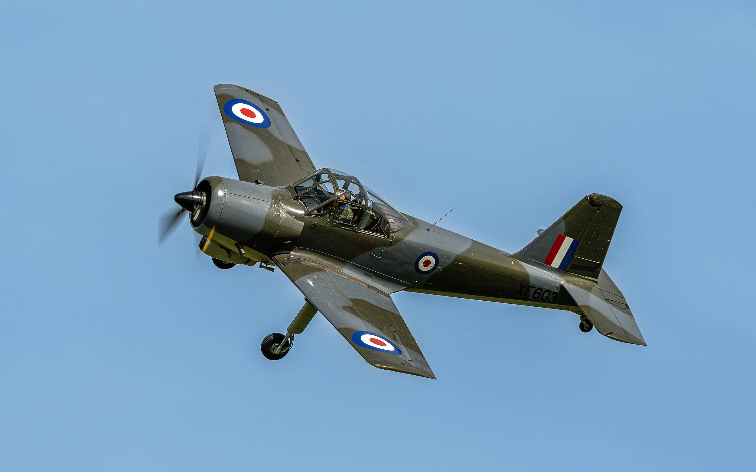 Percival Provost | Festival of Flight 2024