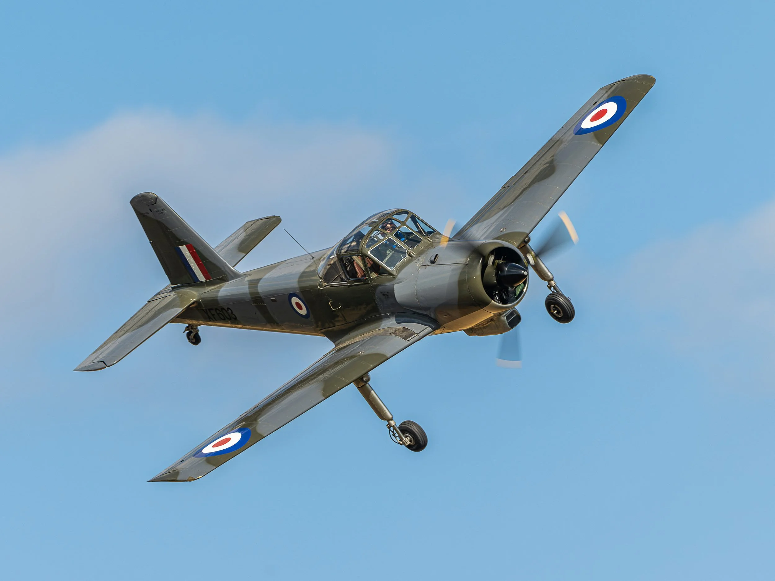 Percival Provost | Family Airshow 2024
