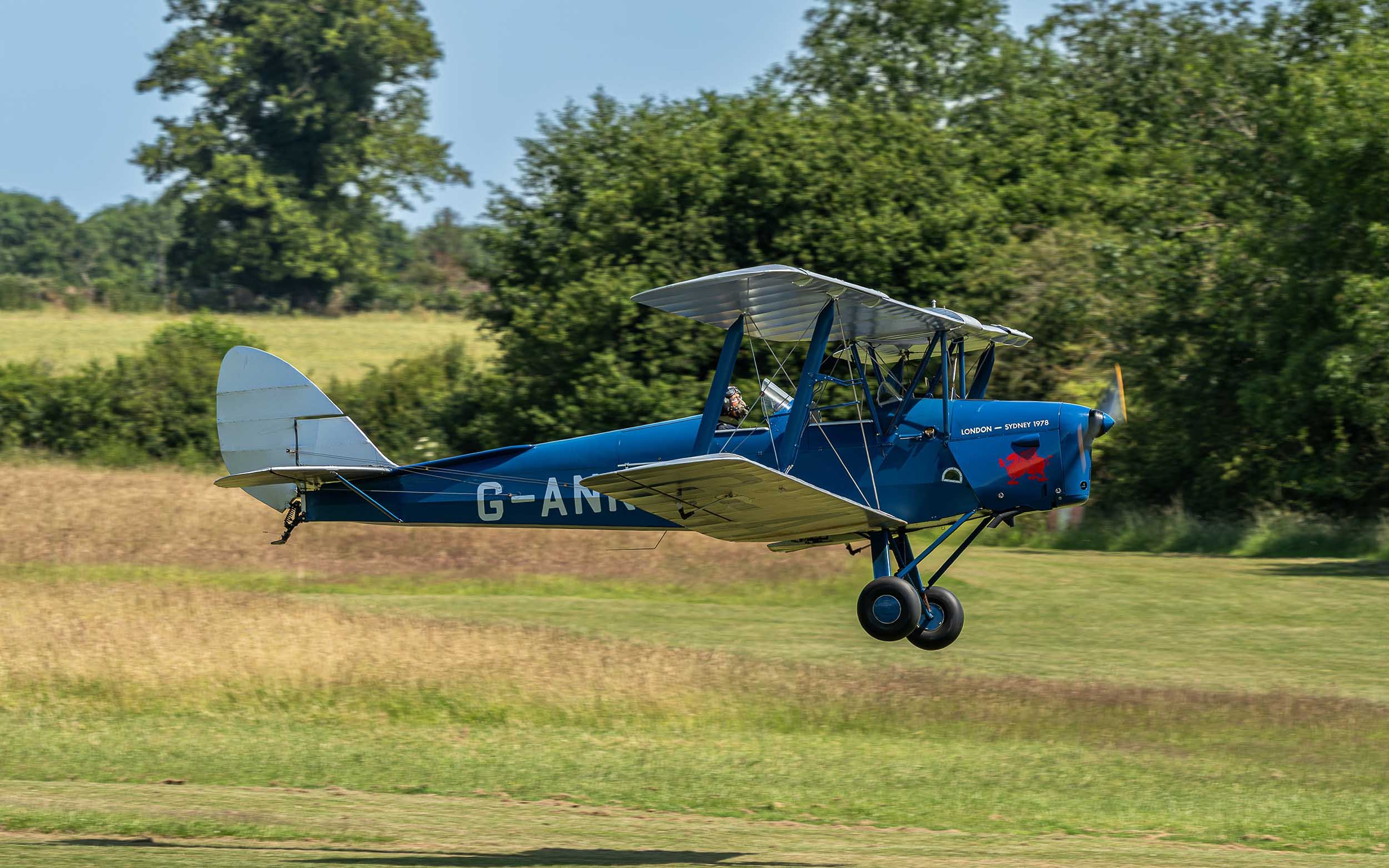 de Havilland DH.82A | Festival of Flight 2024